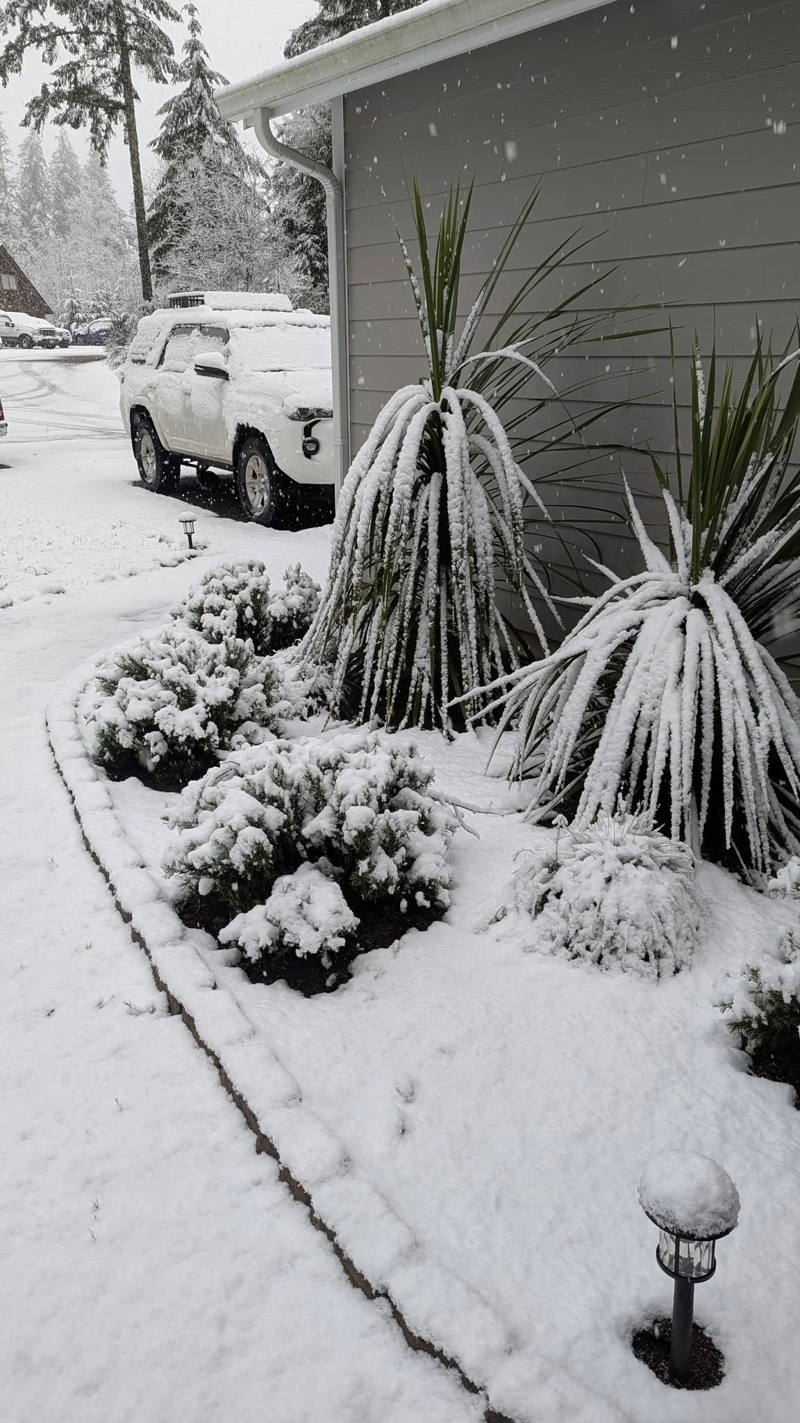 Snow! Snow is what brings people together (Princess Bride was right, except it's marriage AND snow). Drop your snow pics and gif's here👇
Do you love snow or hate snow?