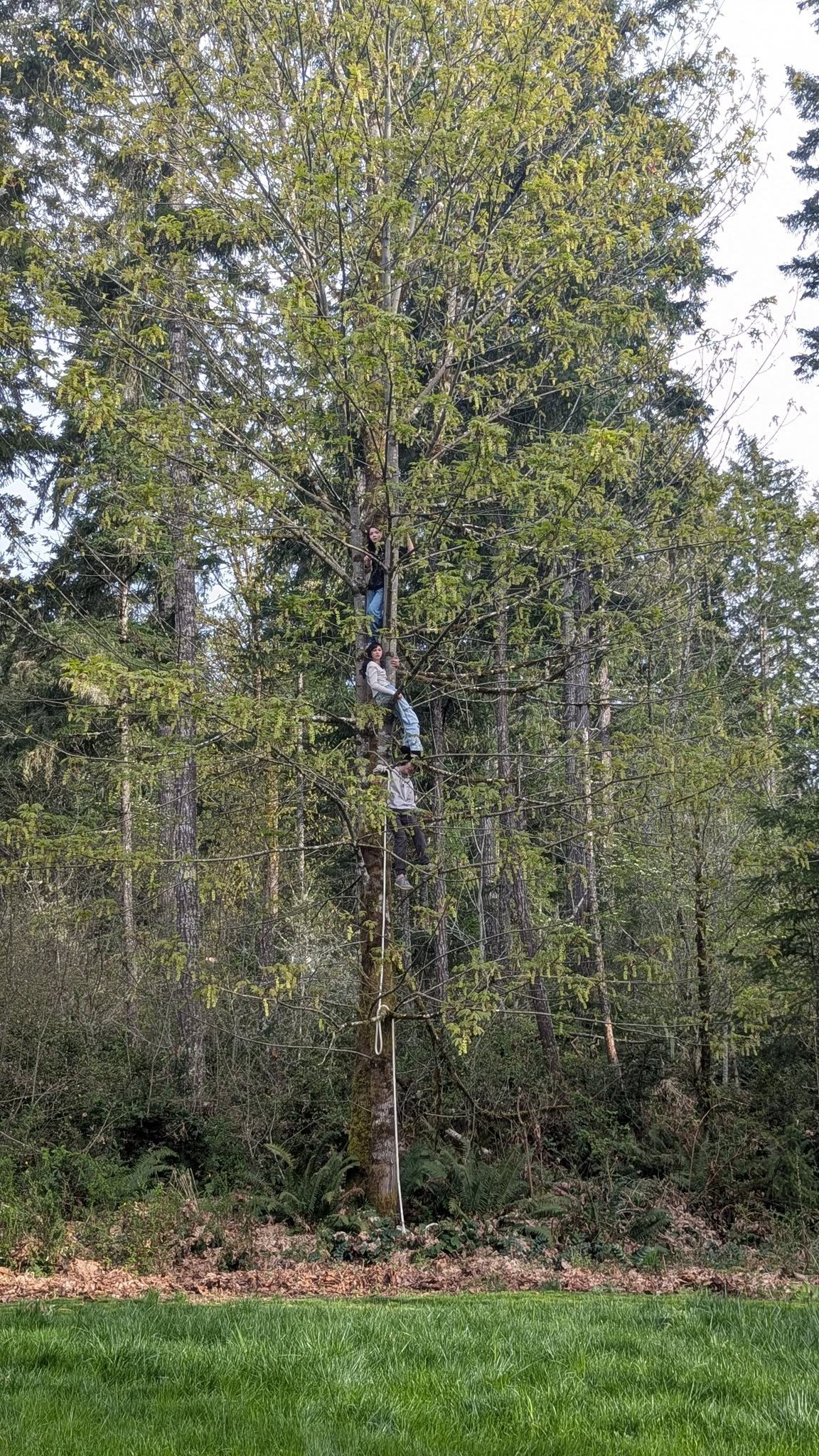 I spy with my little eye 3 kiddos who are living their best lives and doing outdoorsy things in the beautiful PNW on a Friday afternoon 🥰