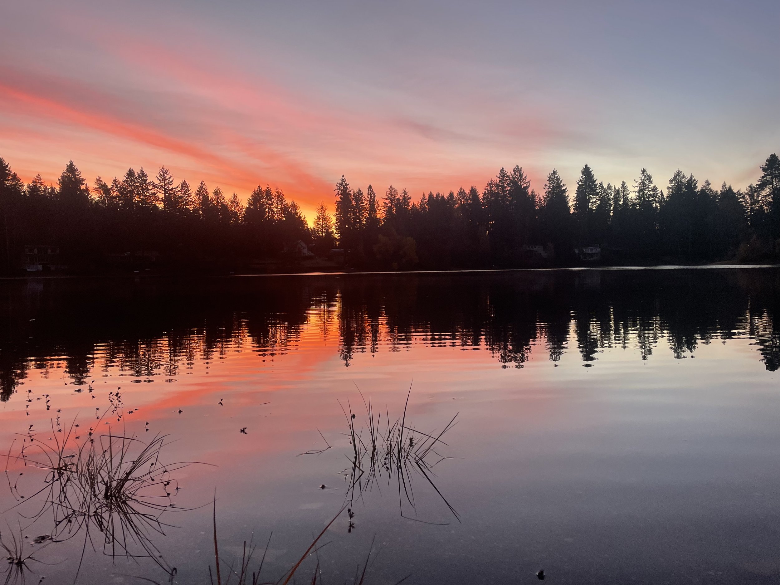 65885410915__54E81132-D9D9-448E-94E9-6D2CFAEEB356.fullsizerender (1).jpeg