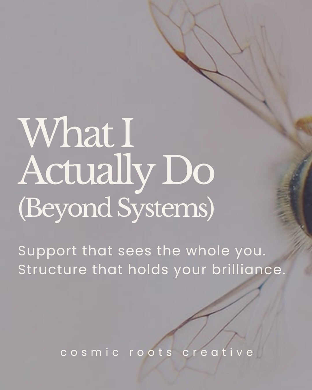 People often come to me for systems &mdash; but that&rsquo;s never where the magic stops.

Yes, I&rsquo;ll help you organize your backend, streamline your workflows, and set up sustainable structure&hellip; but the work I do goes far beyond that.

He