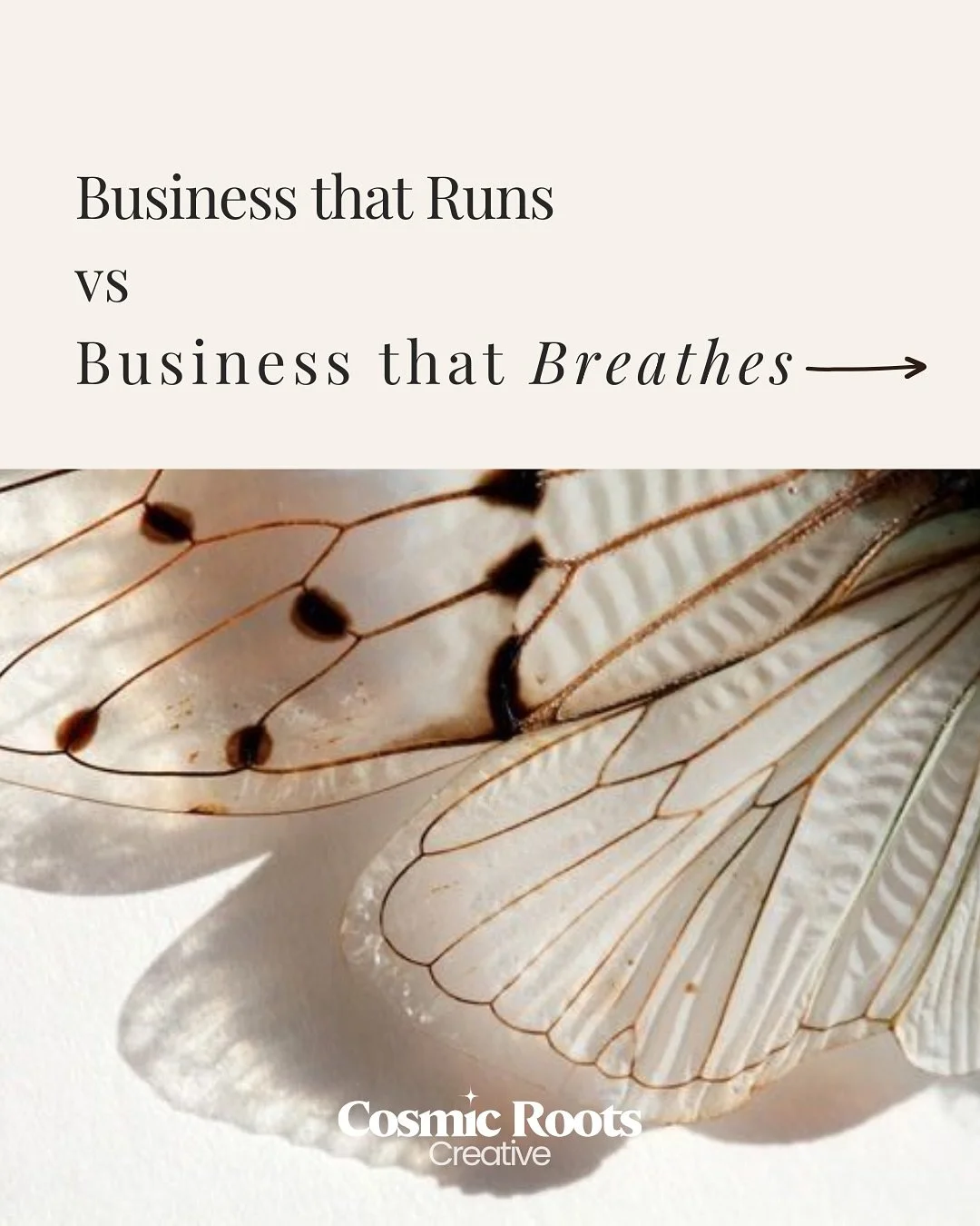 There&rsquo;s a difference you can feel, even if it&rsquo;s subtle.
Some businesses operate like well-oiled machines:
organized, efficient, predictable.

But the entrepreneurs I work with?
Their businesses are more like living fields.
There&rsquo;s d