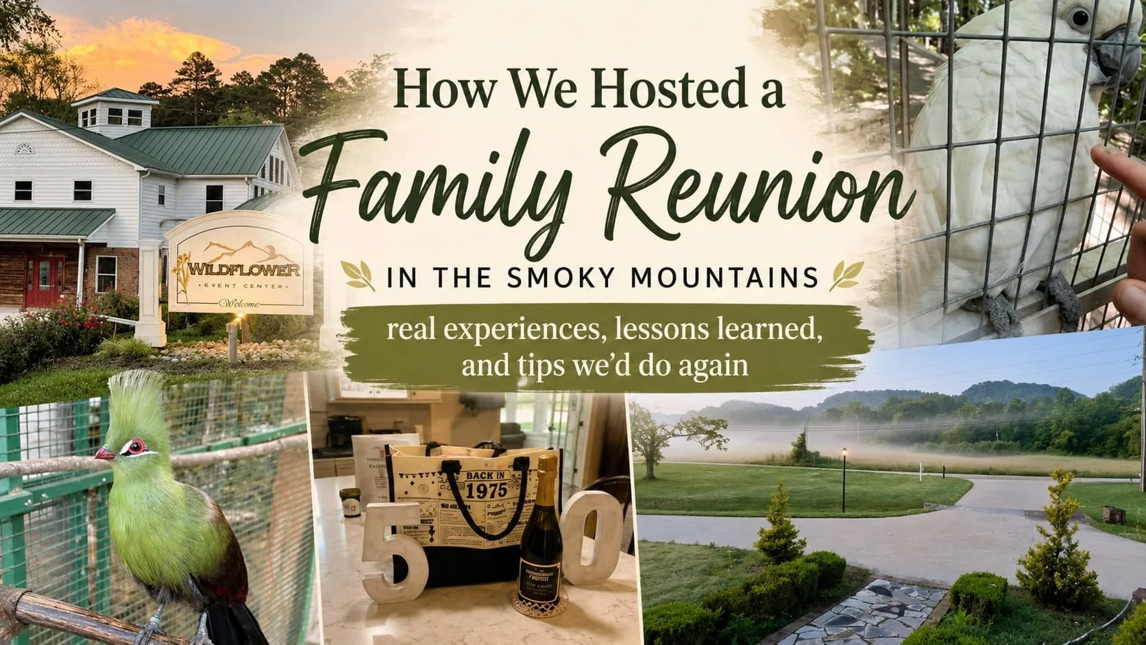 Images of the Wildflower Event Center, birds from Parrot Mountain, a 50th Birthday setup, and a misty sunrise from the front porch of the Farmhouse