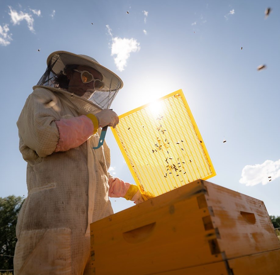 A Portion of Your Wedding Photography Goes to Saving the Bees 🐝 Honey and bees have been wedding symbols for centuries: representing sweetness, prosperity, and enduring love. The word &ldquo;honeymoon&rdquo; itself comes from the tradition of newlyw