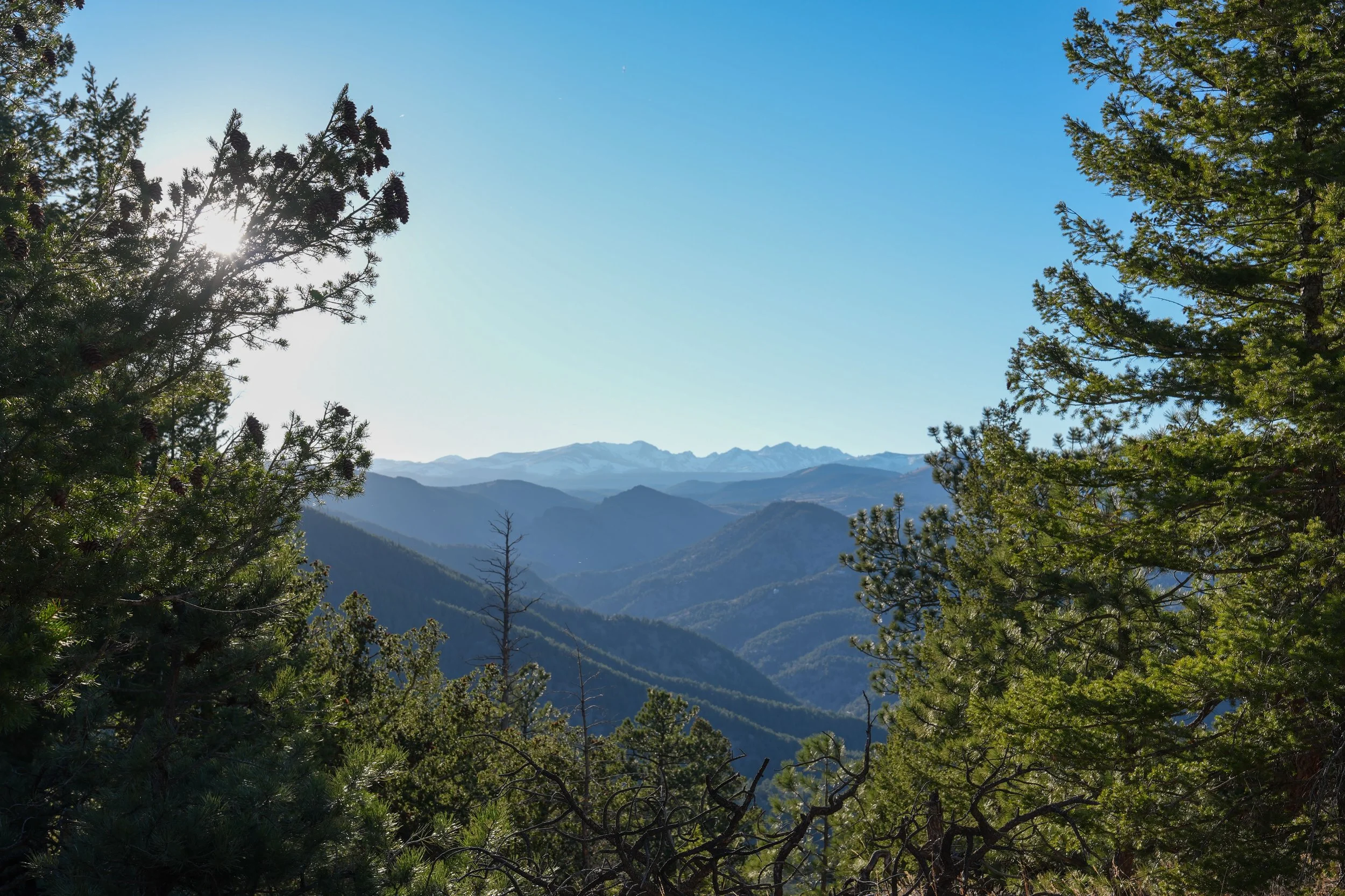 Boulder Wedding Photographer _ Megan Reznicek-1910.jpg