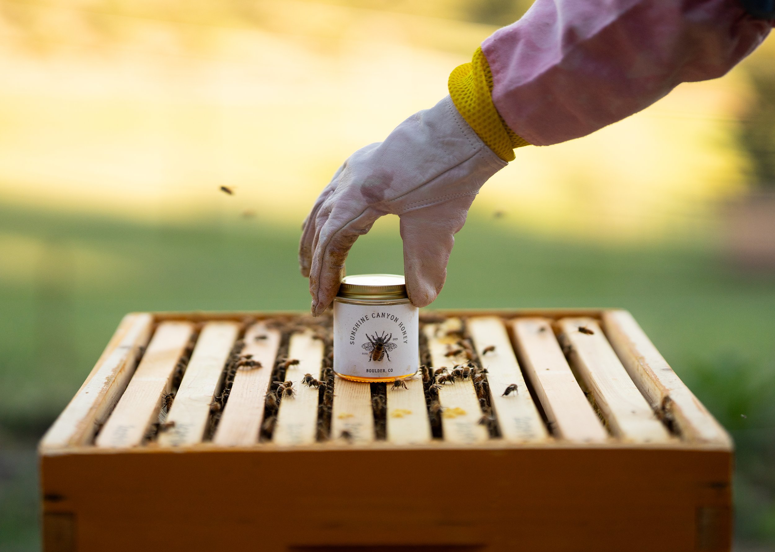20250515 - Megan Bees Round 1-27.jpg