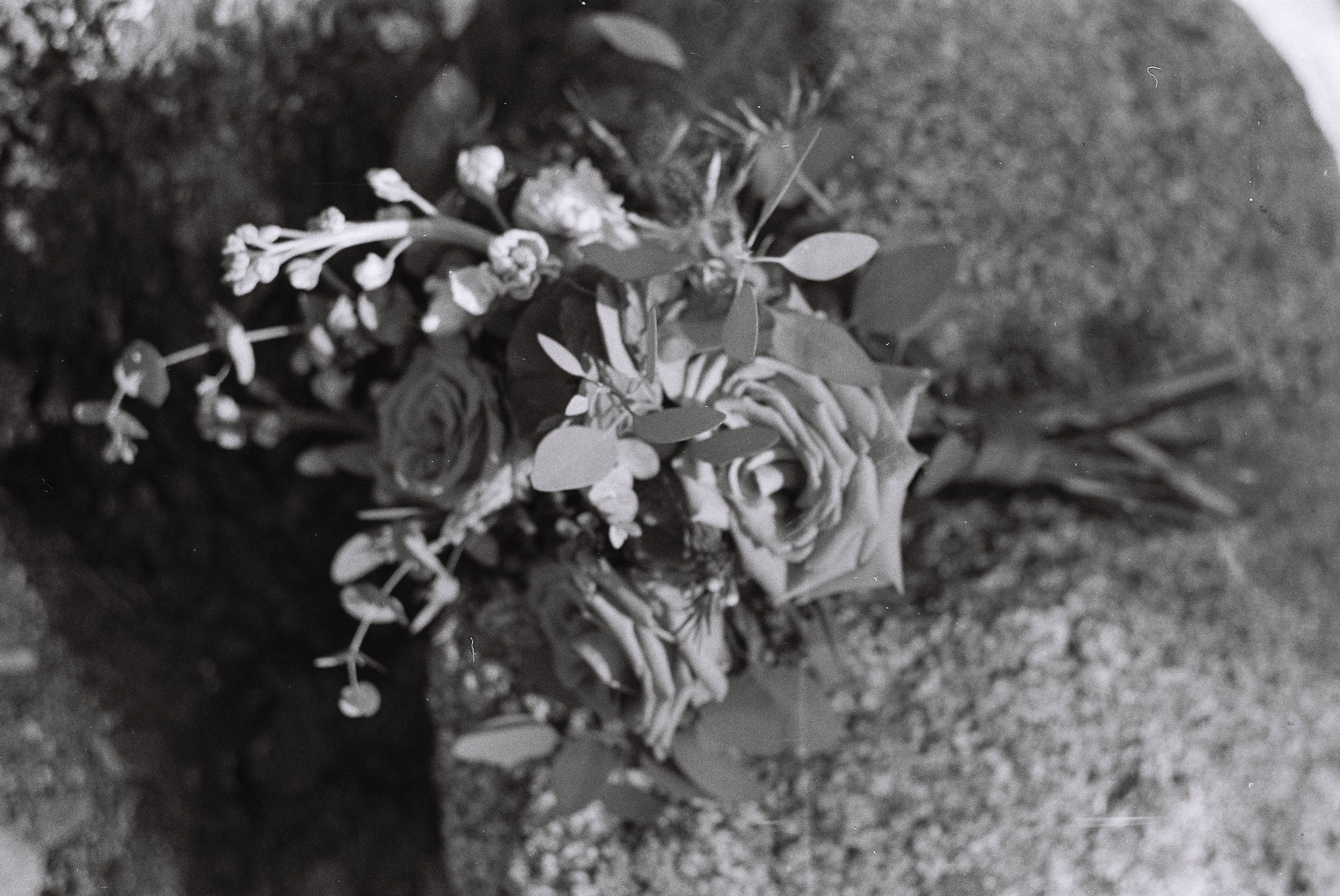 Boulder Wedding Photographer _ Megan Reznicek-576.jpg
