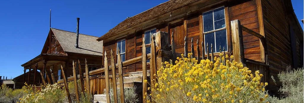 bodie_preservation.jpg