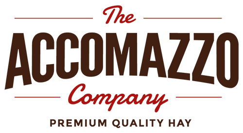 The Accomazzo Company