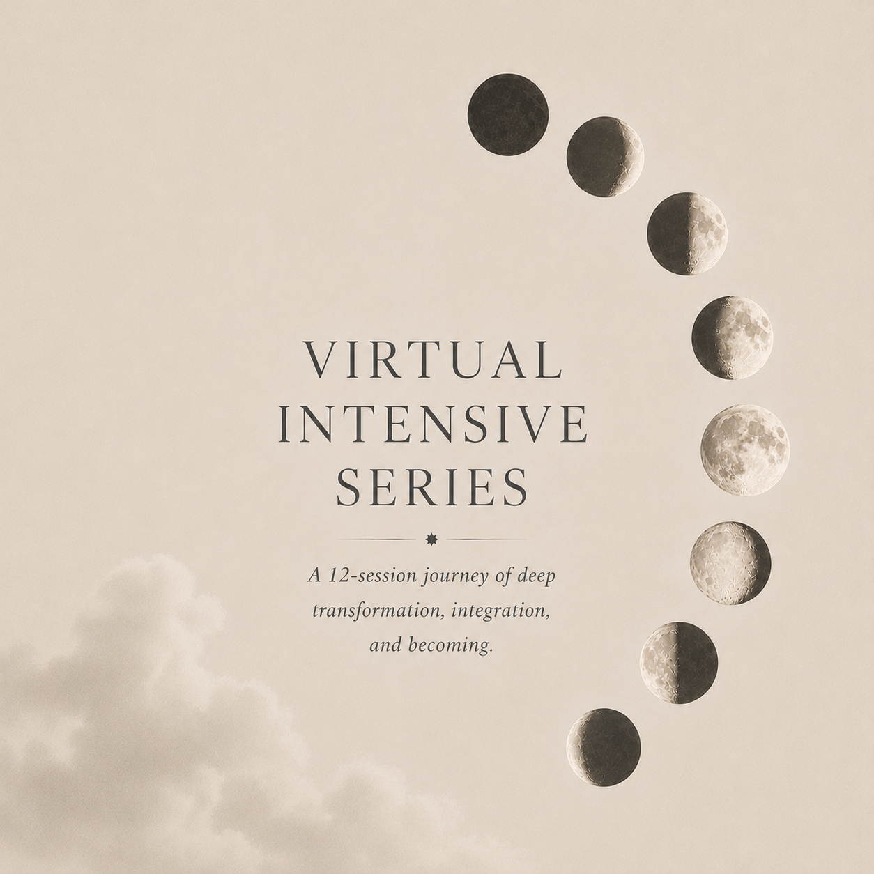 Virtual Intensive Series