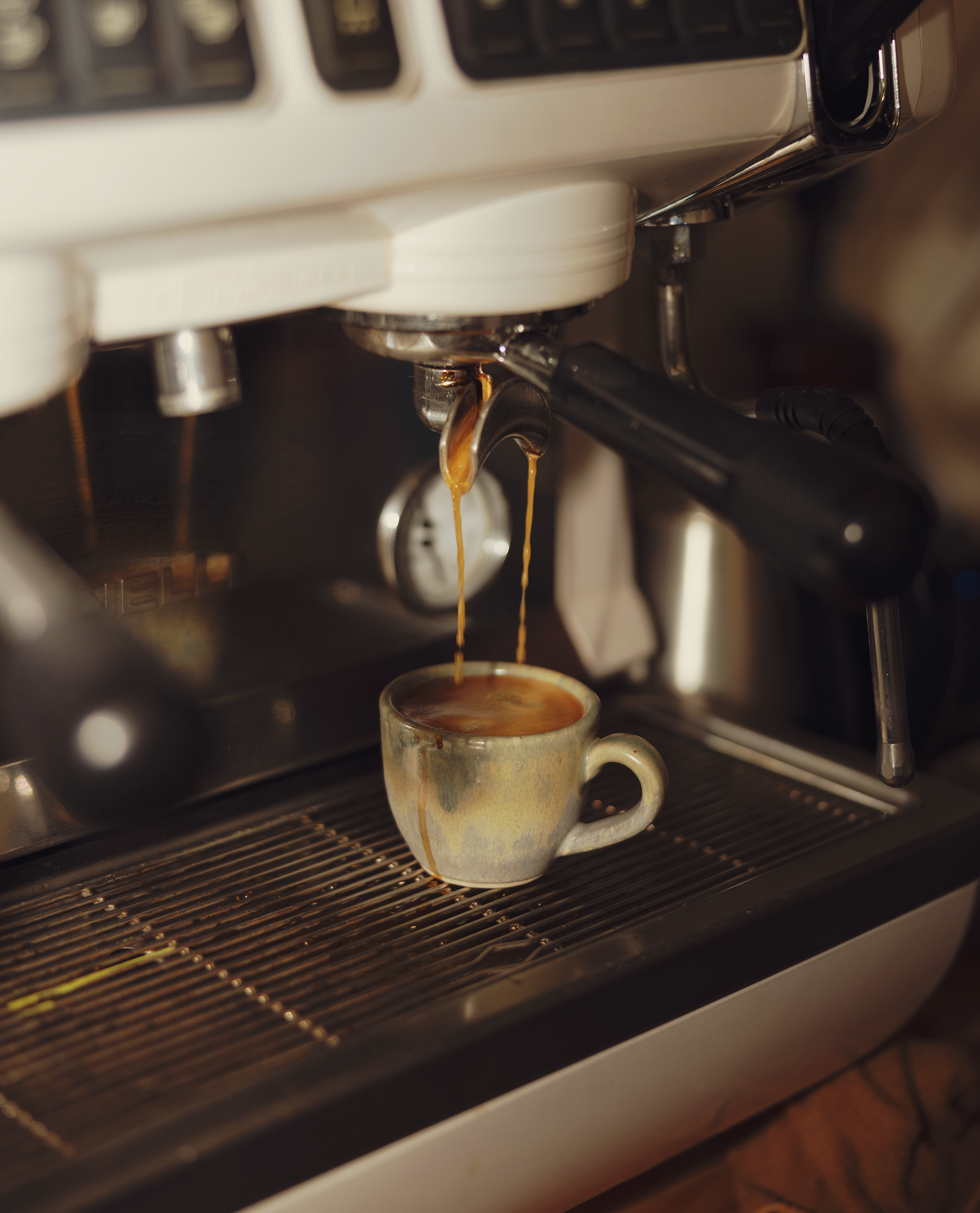 Cómo Preparar la Taza Perfecta