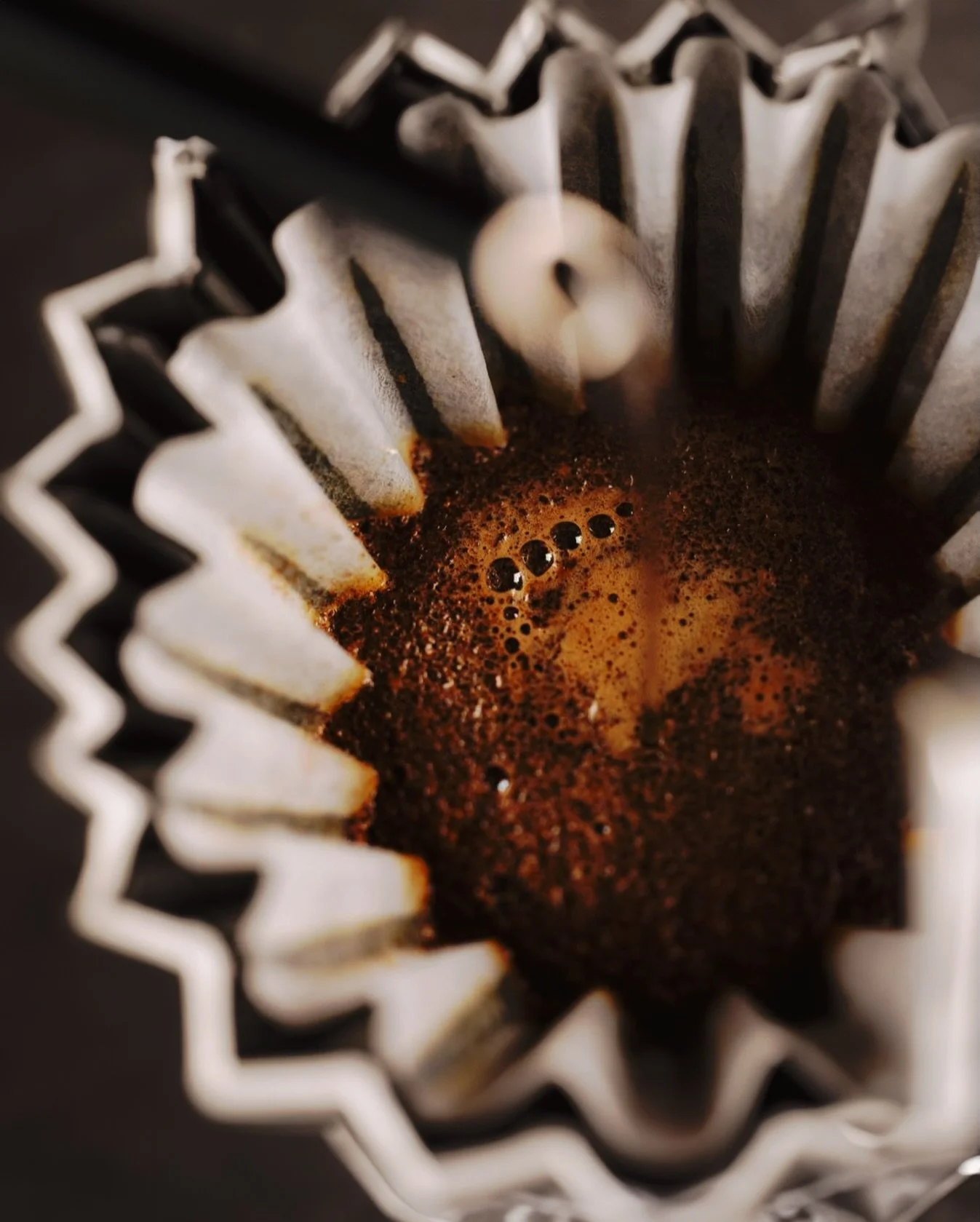 El lenguaje del Bloom:

Existe un momento exacto donde la ciencia del tueste se vuelve visible ante nuestros ojos. No es espuma, ni un simple efecto visual; es el &ldquo;Bloom&rdquo;, el primer suspiro de un caf&eacute; vivo.

Durante el tueste, la e