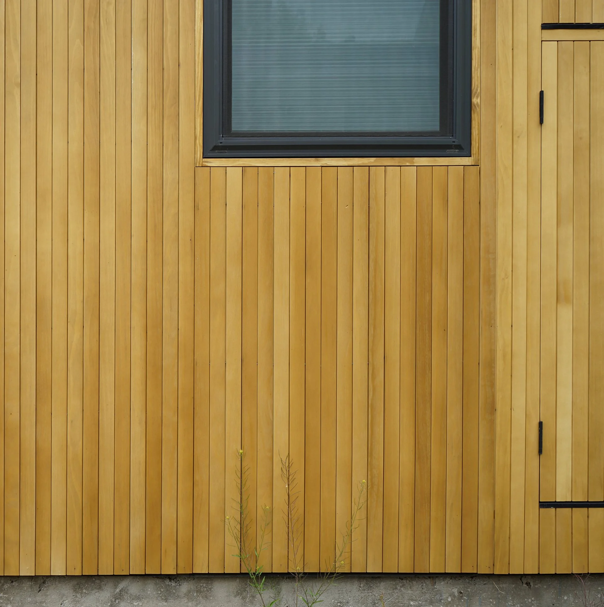 wood-siding-detail-2.jpg