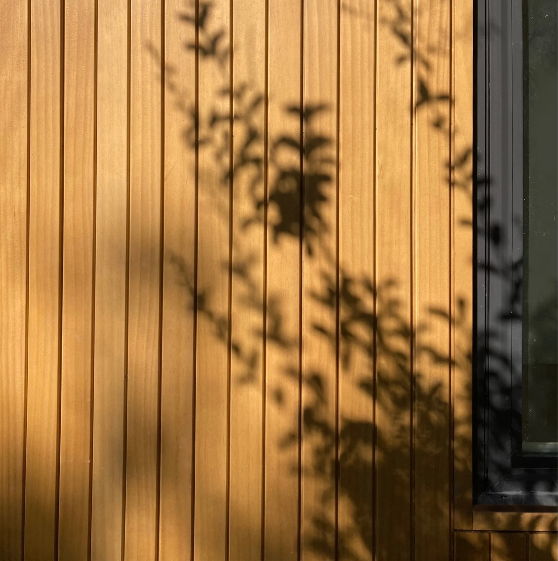 wood-siding-detail-1.jpg