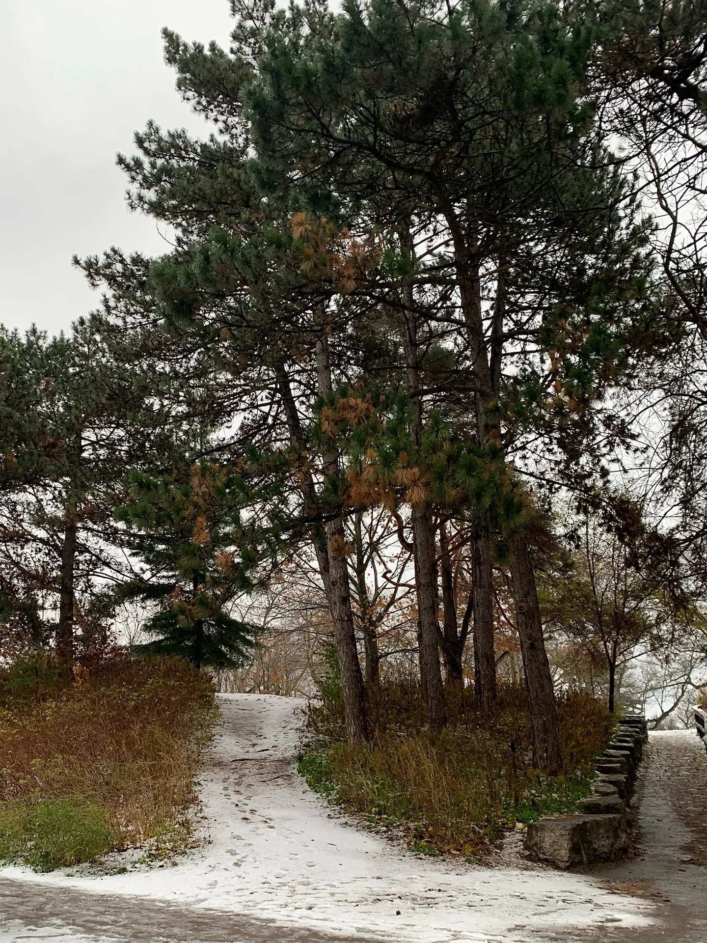 It would be fitting that my last Bike Fit of the year is on a snowy day (there was more I promise)!! As the season comes to a close for me this 2025, just wanted to say a huge thank you to everyone that showed love this season, had a bike fit, or sai