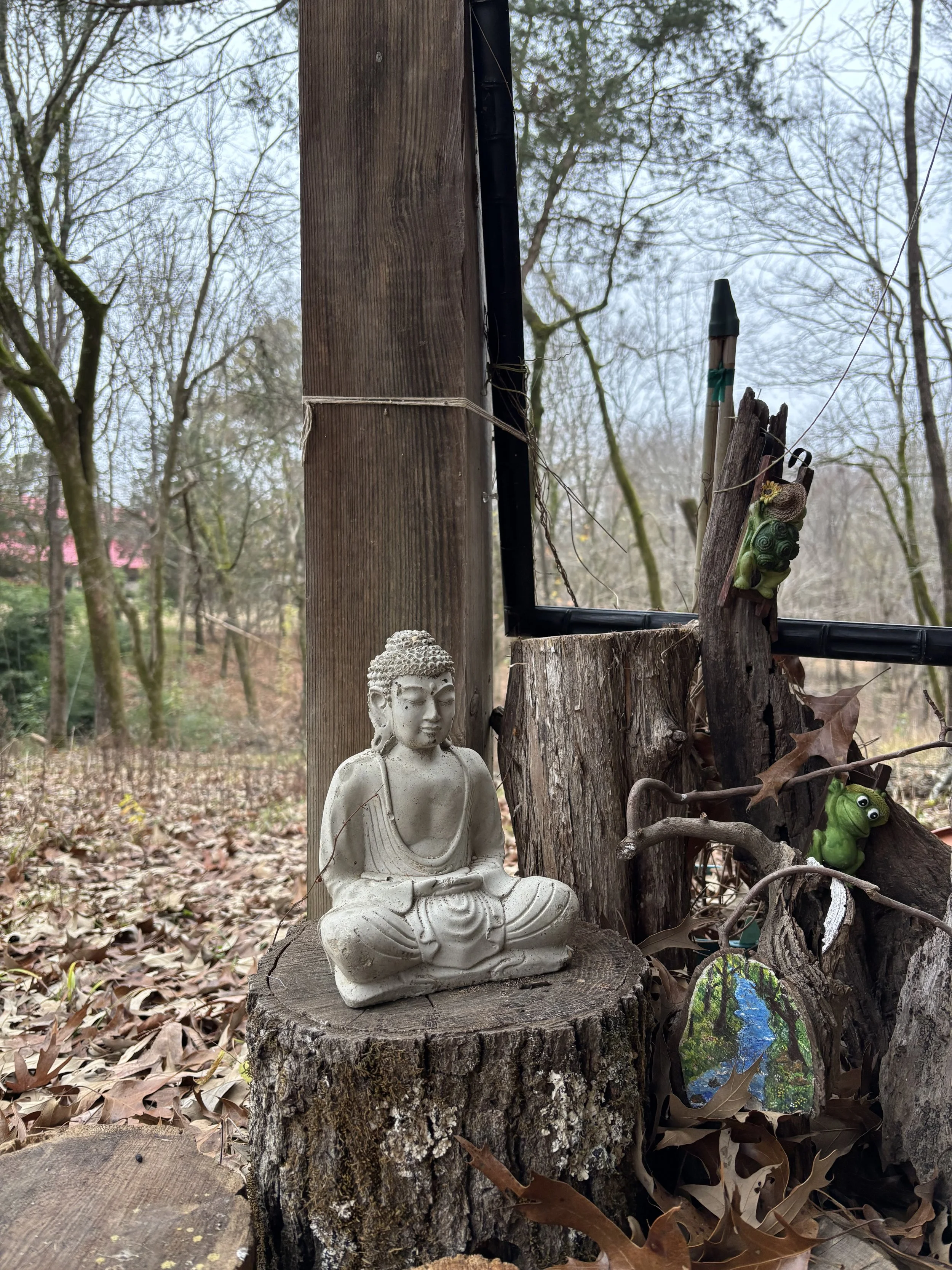 A Cloud at Magnolia Grove