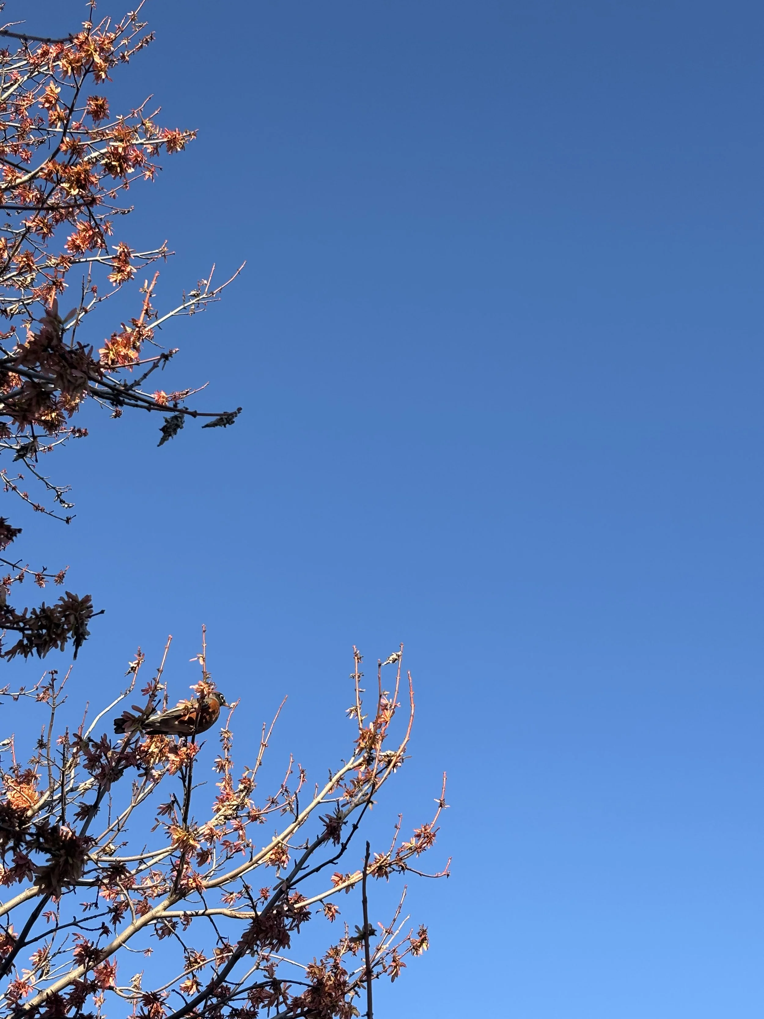 What to do when you don’t feel like doing anything