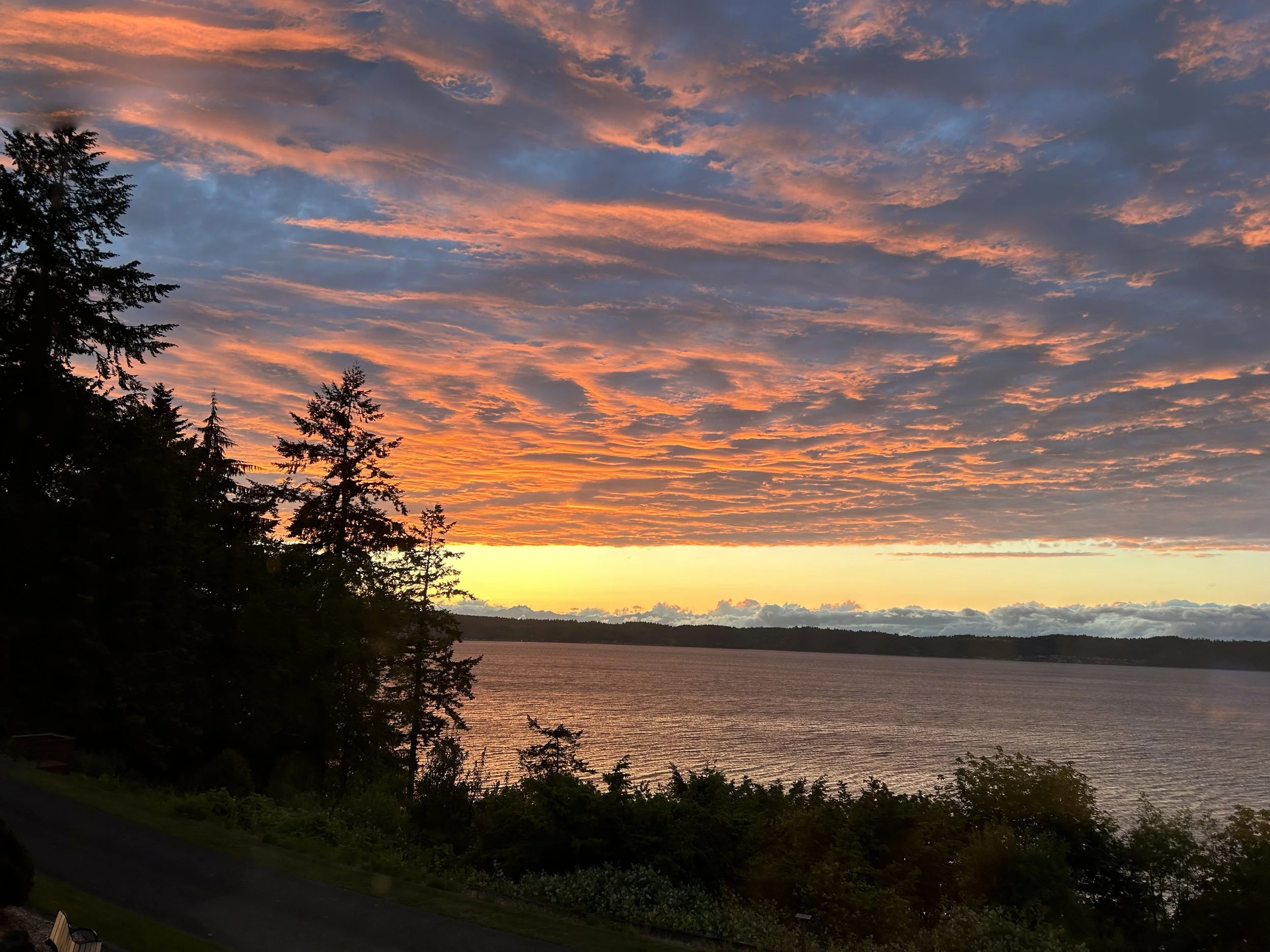 2024 Seattle Sunset #1