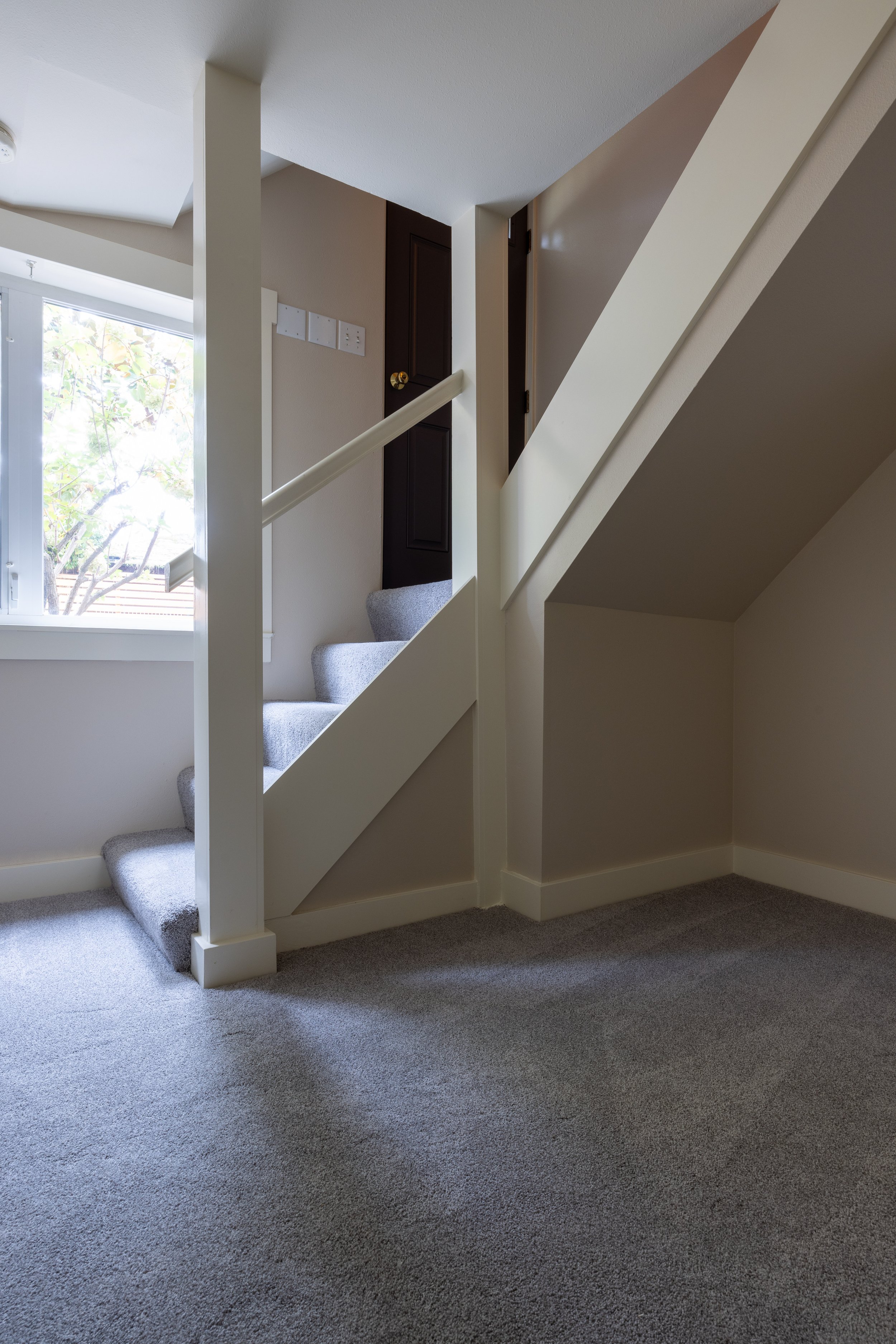 Interior paint and carpet