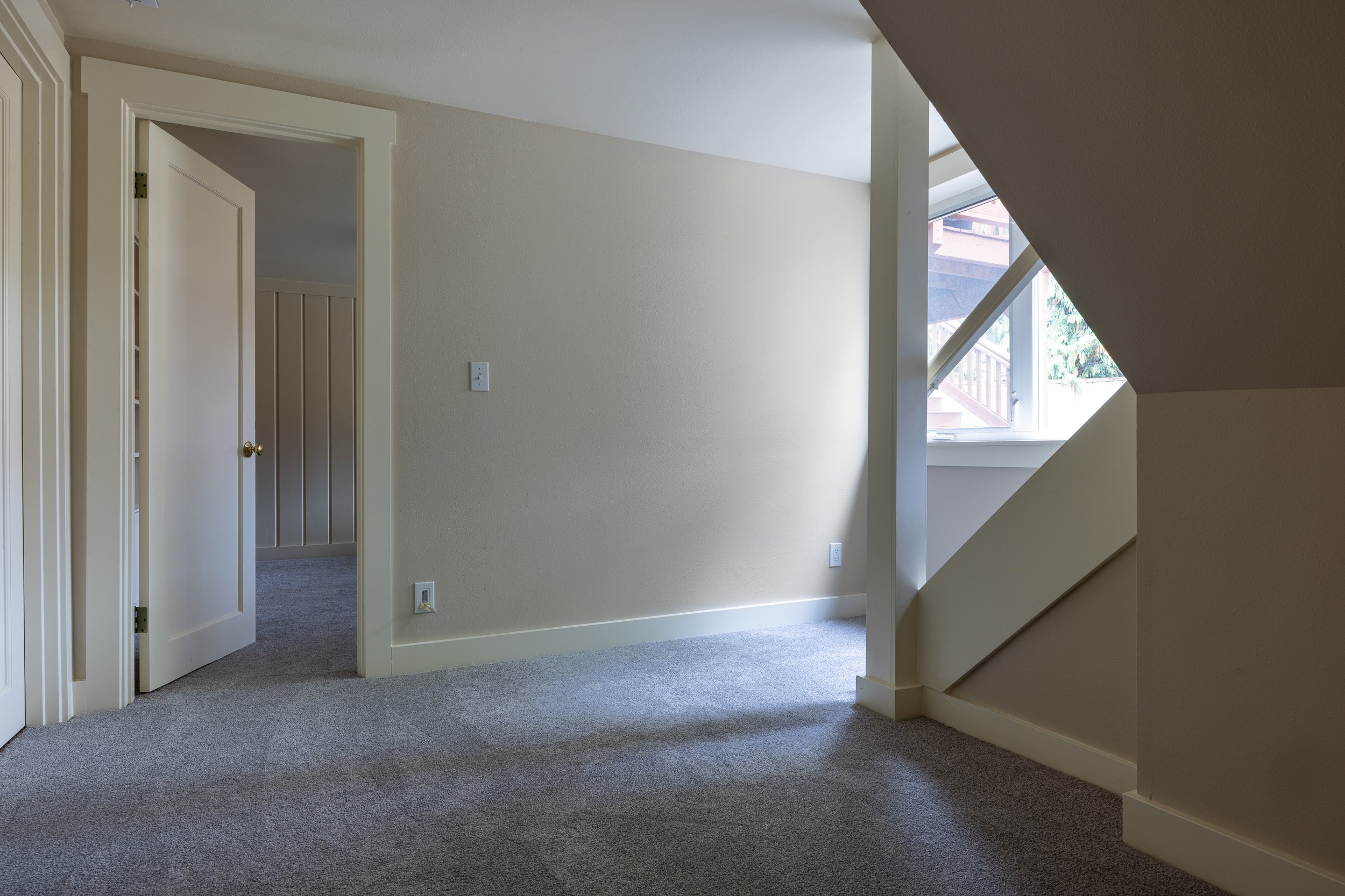 Interior paint and carpet
