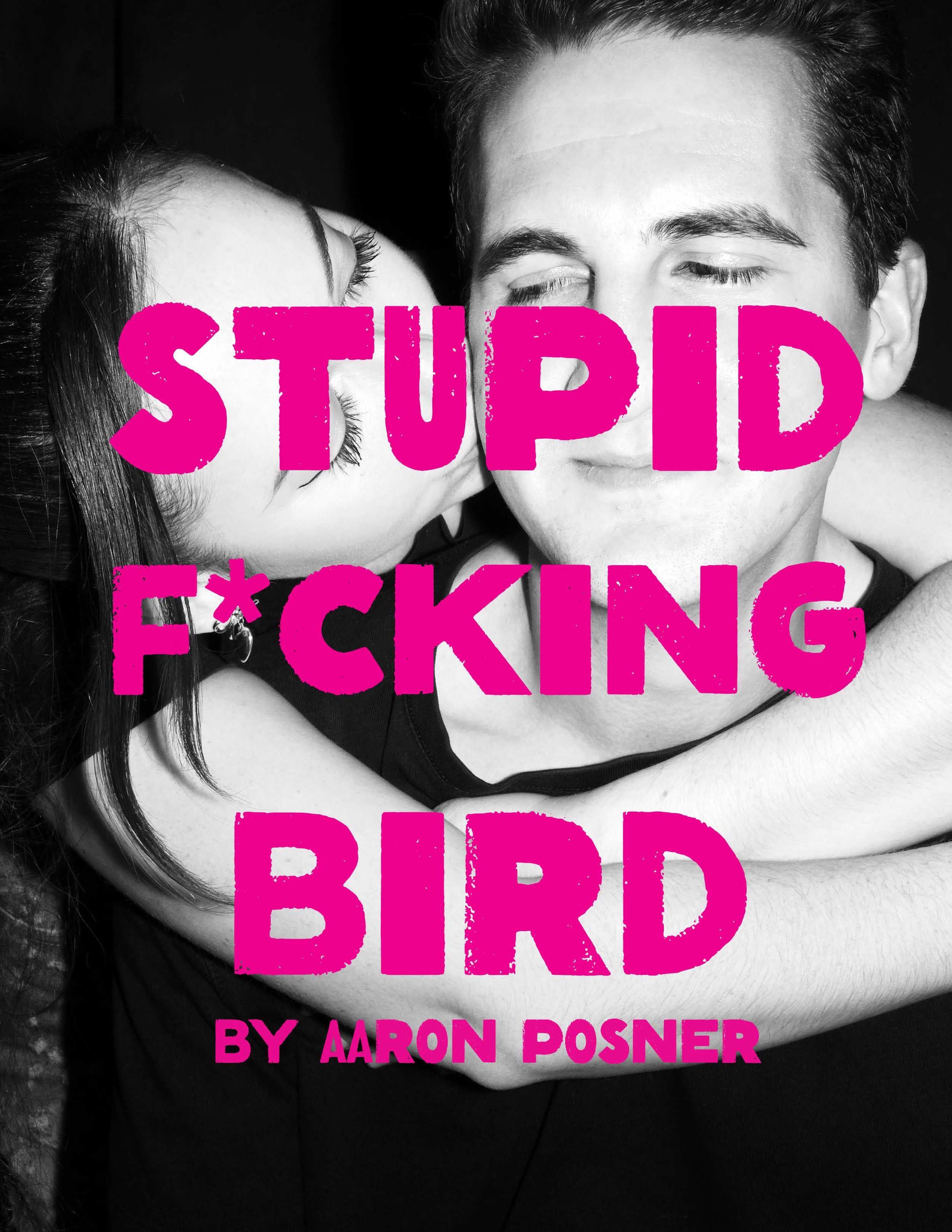Stupid Fucking Bird