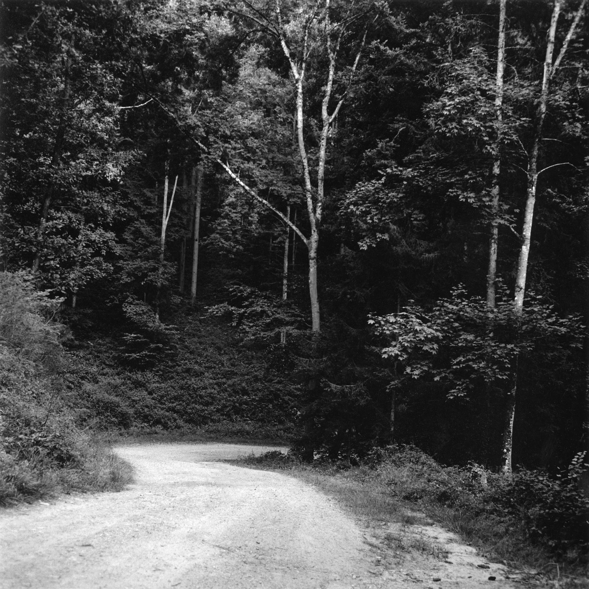 Vers le Streibach.jpg
