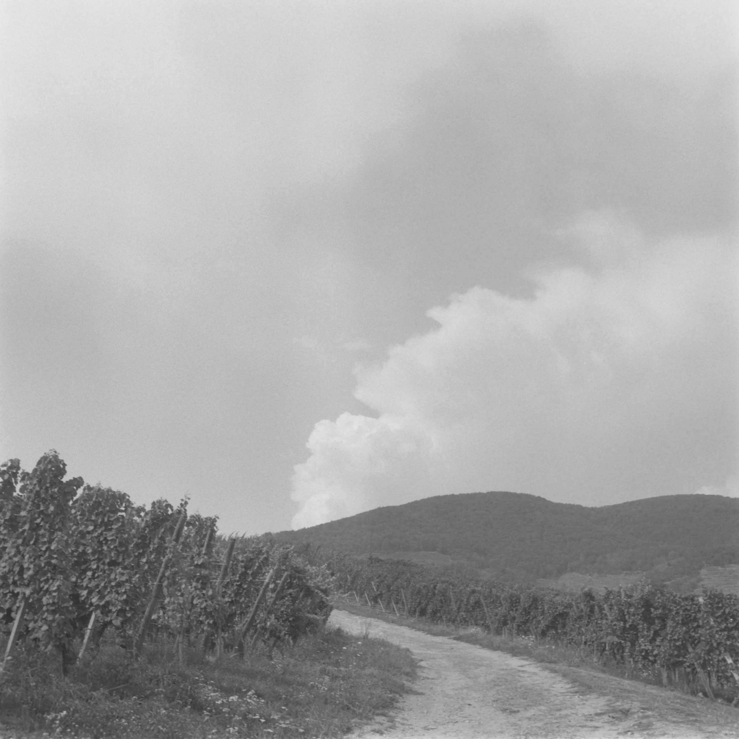 Vue sur le Schlossberg.jpg