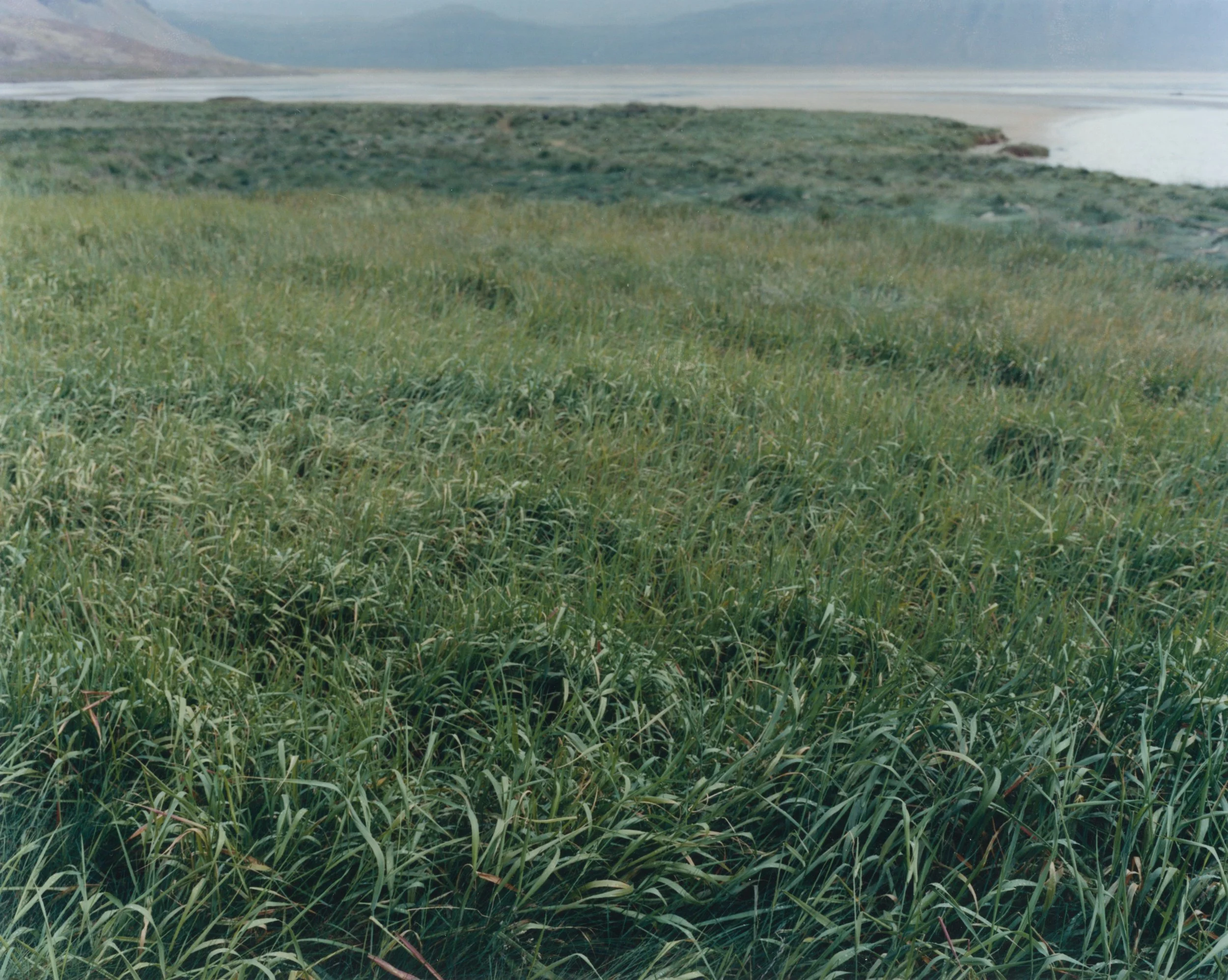 Rauðisandur 10.jpg