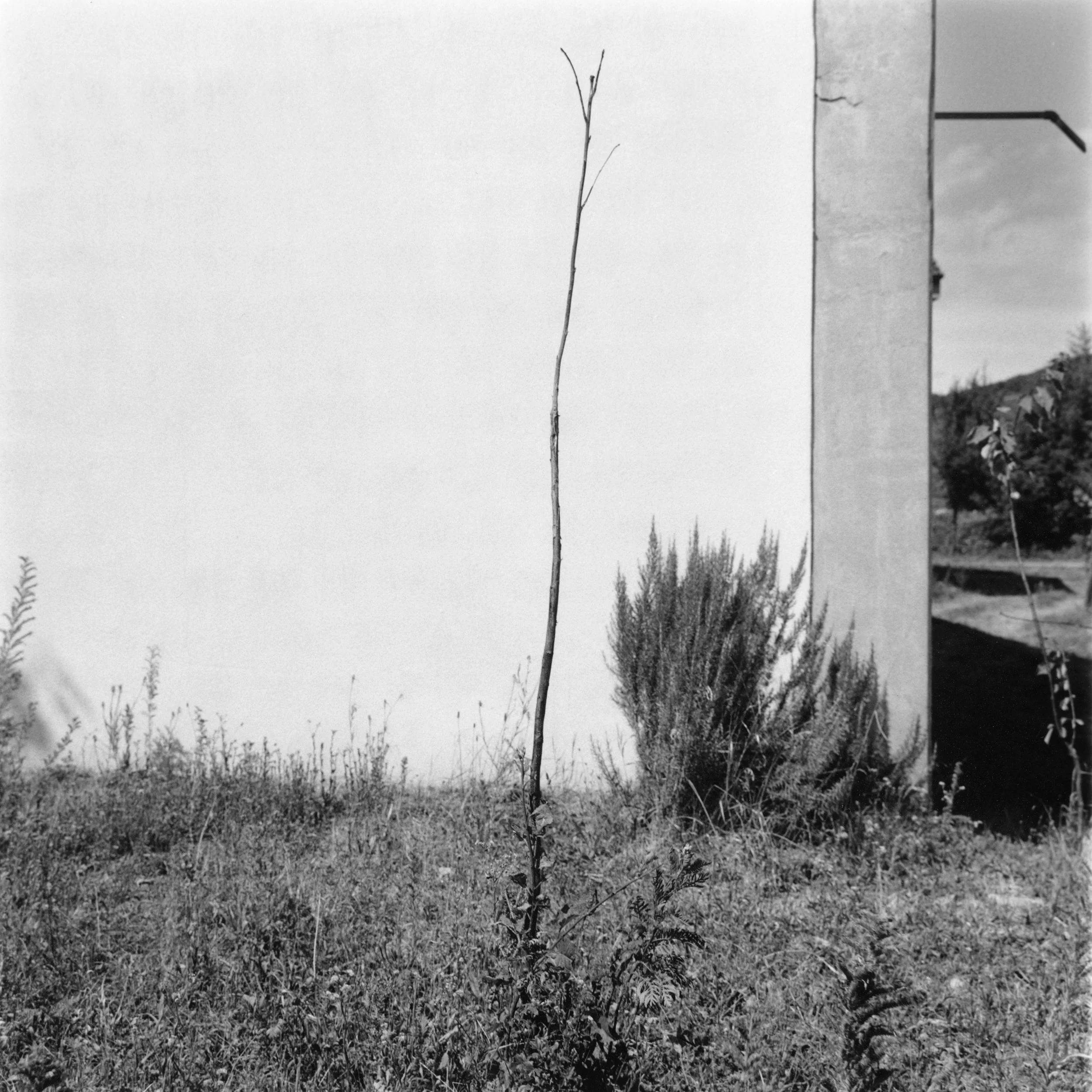 D'Ammerschwir à Kaysersberg.jpg