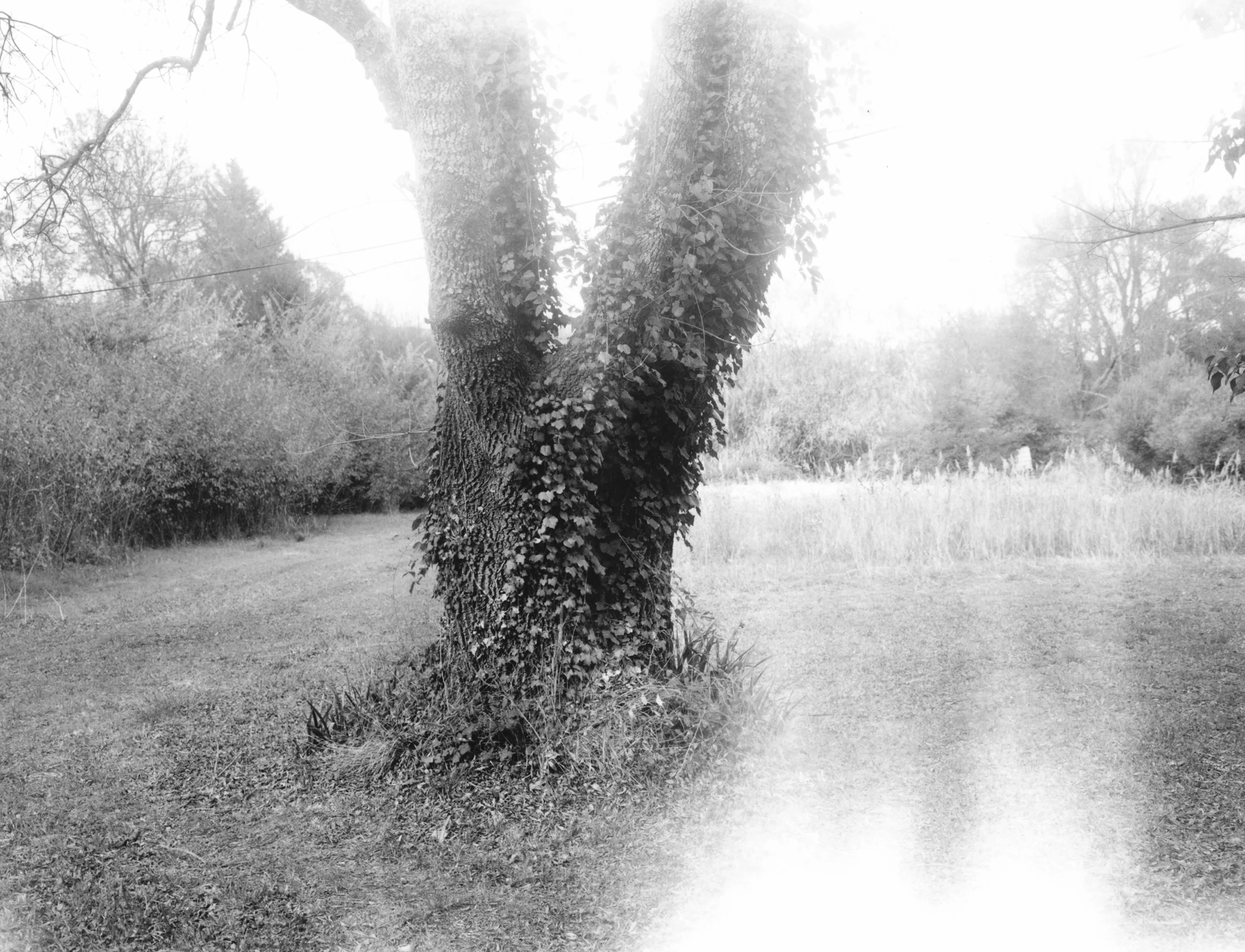 Garéoult 1.jpg