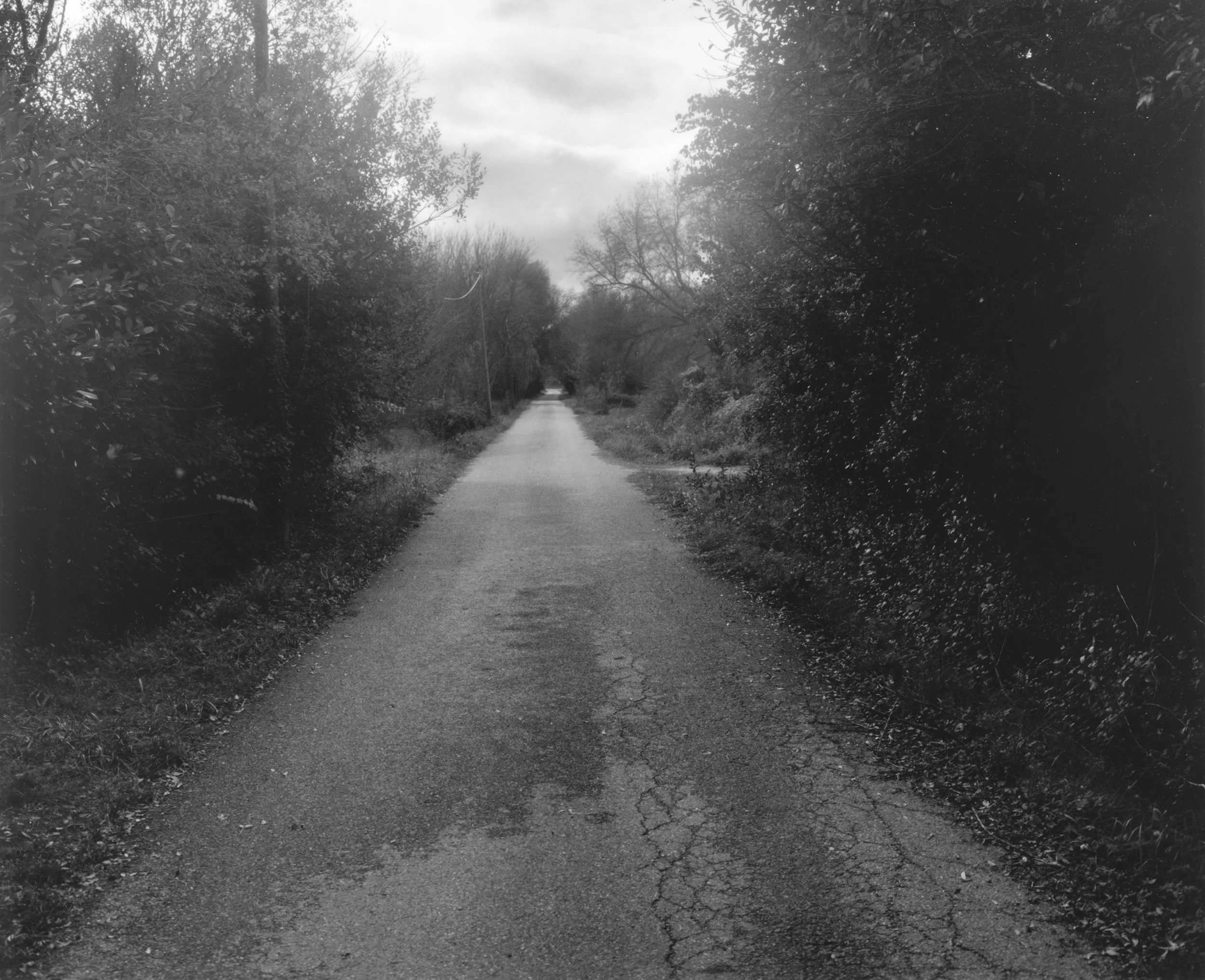 Garéoult 5.jpg