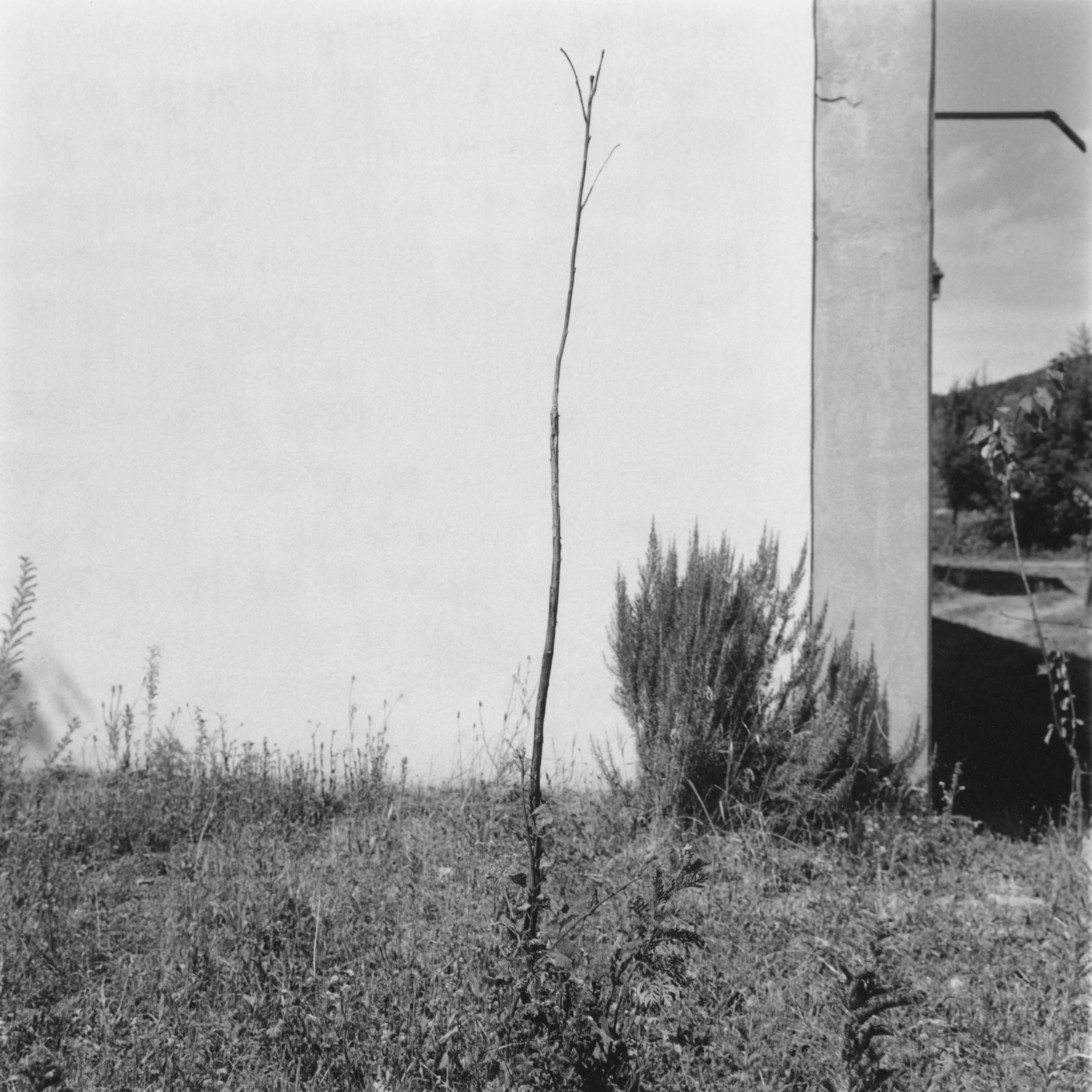 D'Ammerschwir à Kaysersberg.jpg