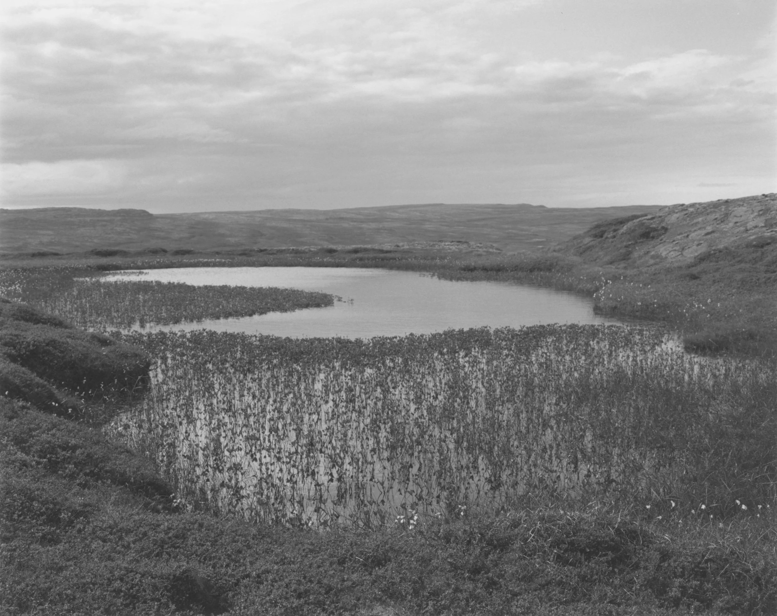 islande.jpg