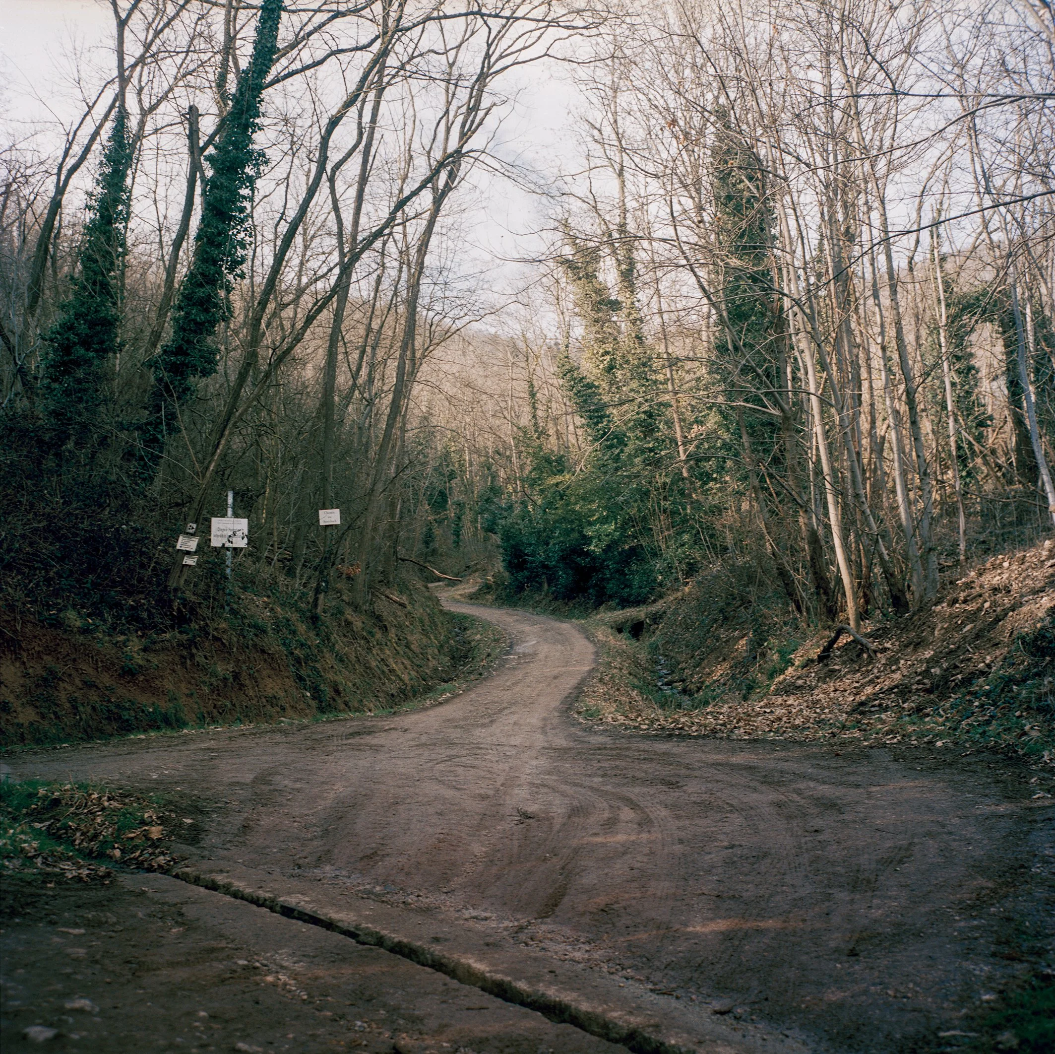Chemin du Streibach.jpg