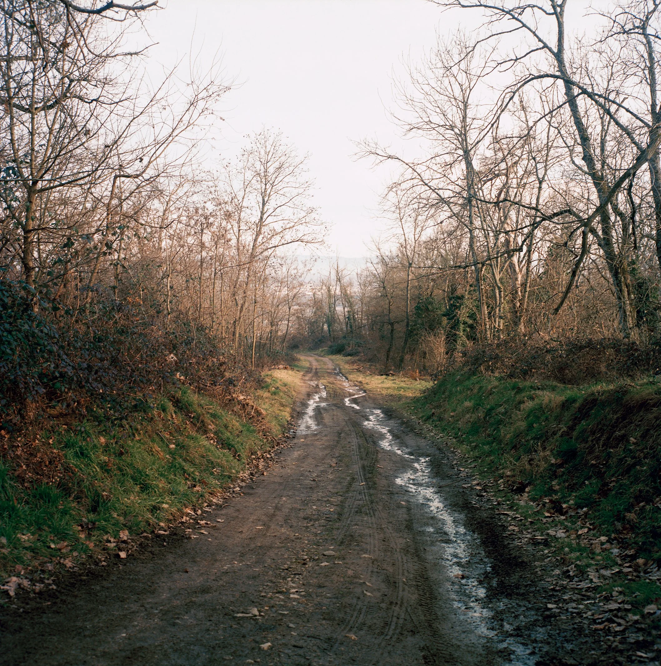 Chemin du Streibach 2.jpg