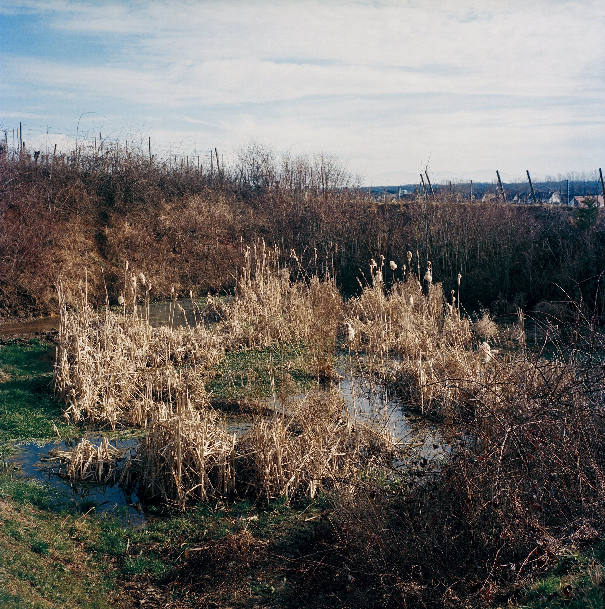 Etang au dessus de Kienthzeim.jpg