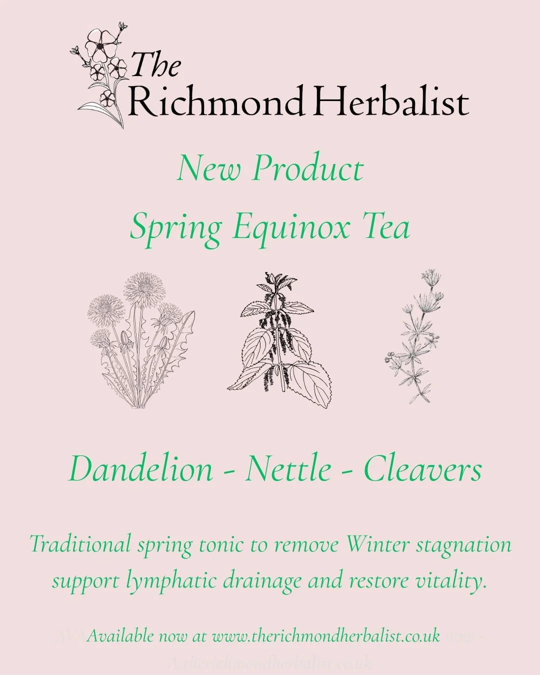 Spring Equinox Tea 🍵