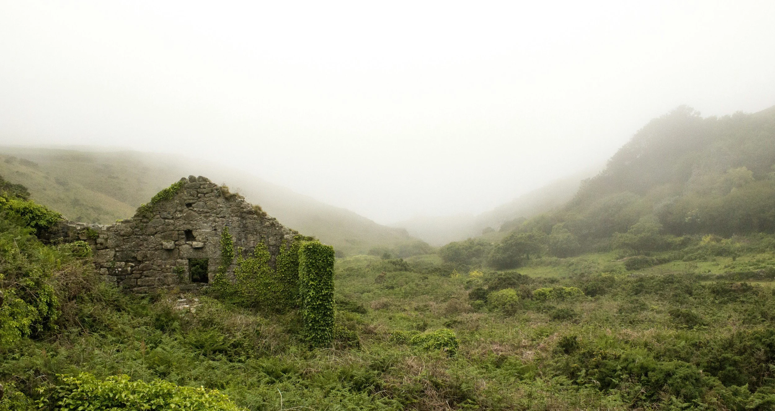unsplash-image-cjOWoz4iq7k.jpg