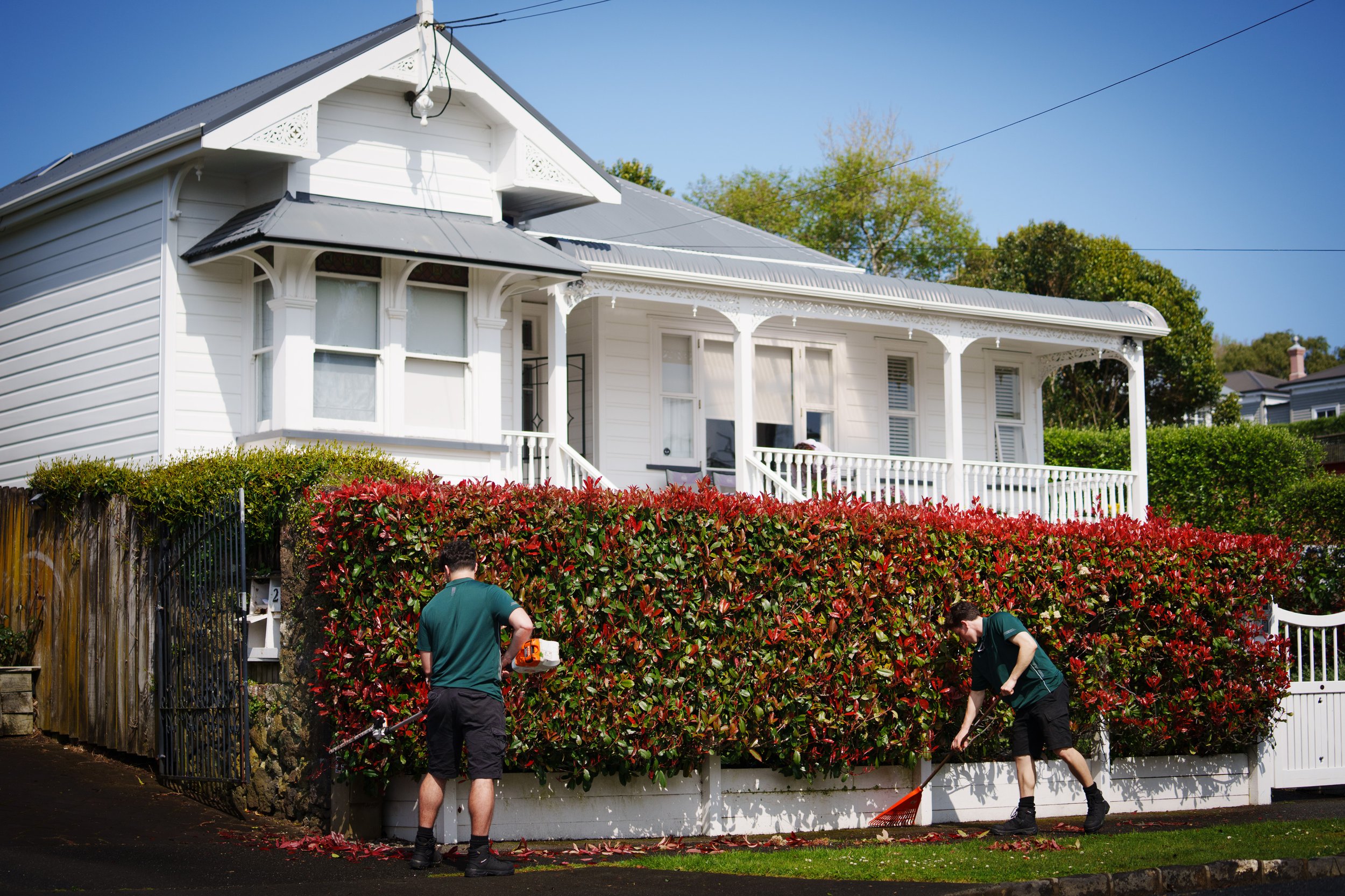Hedge Trimming