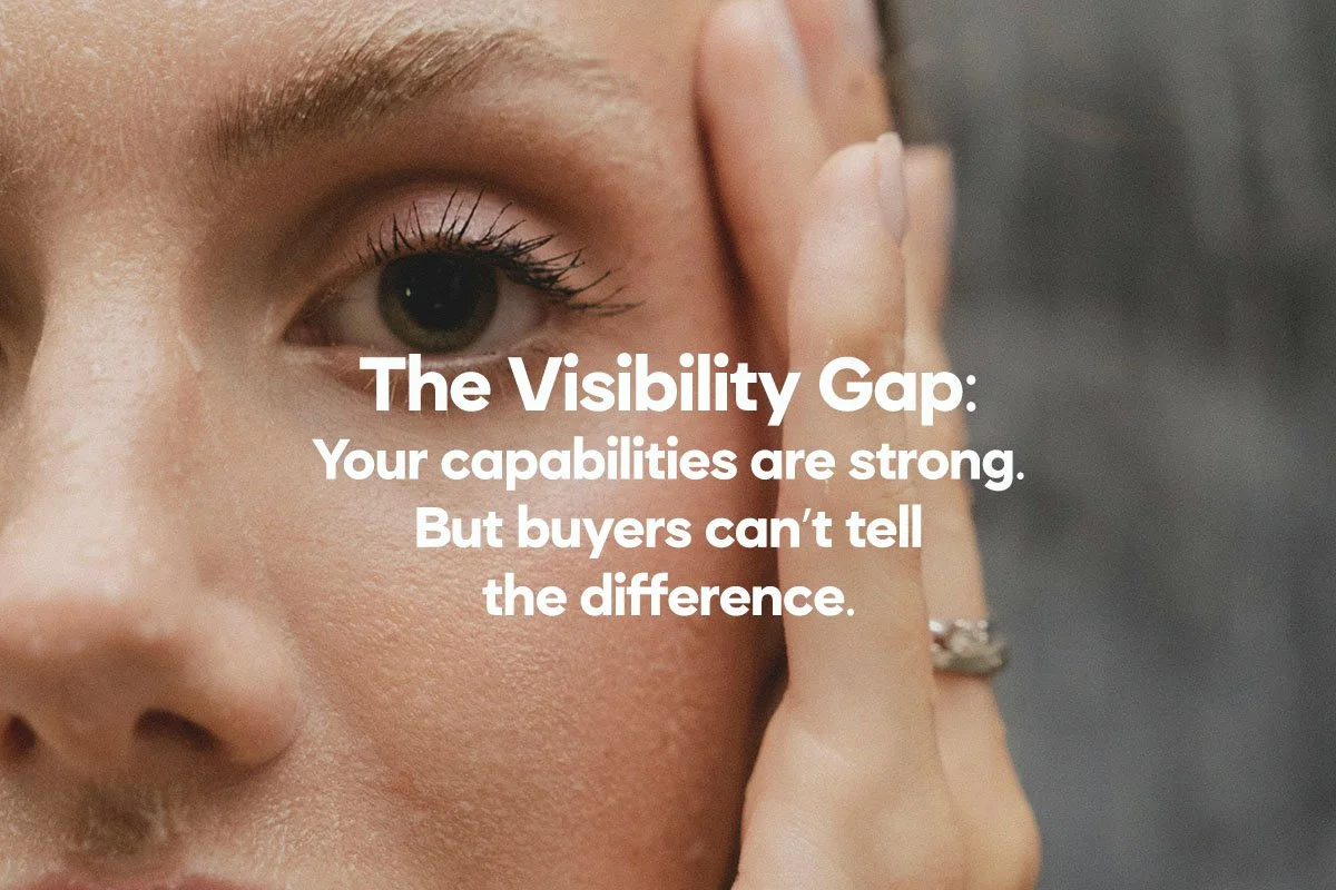 TheVisibilityGap copy.jpg