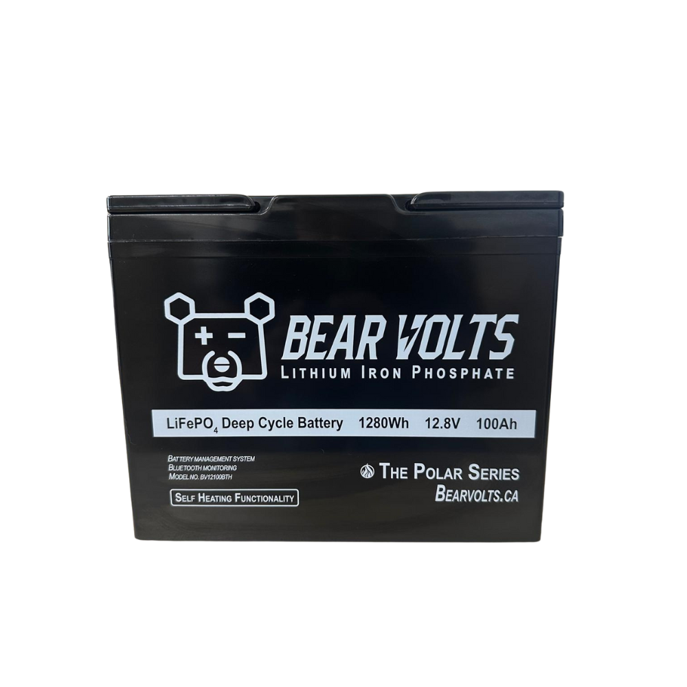 bear volts 100.png