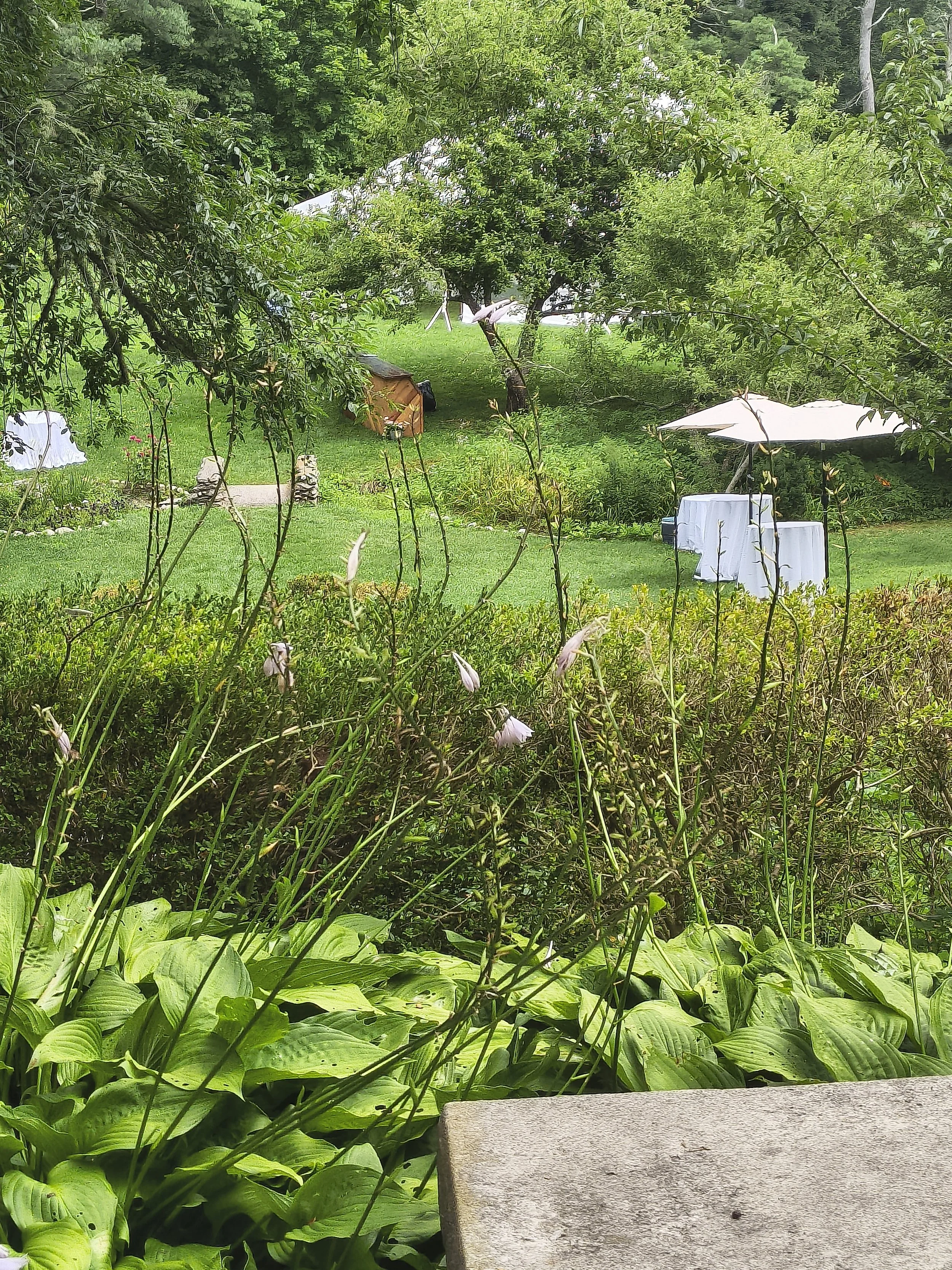 IMG_20260801_141011935_HDR.jpg