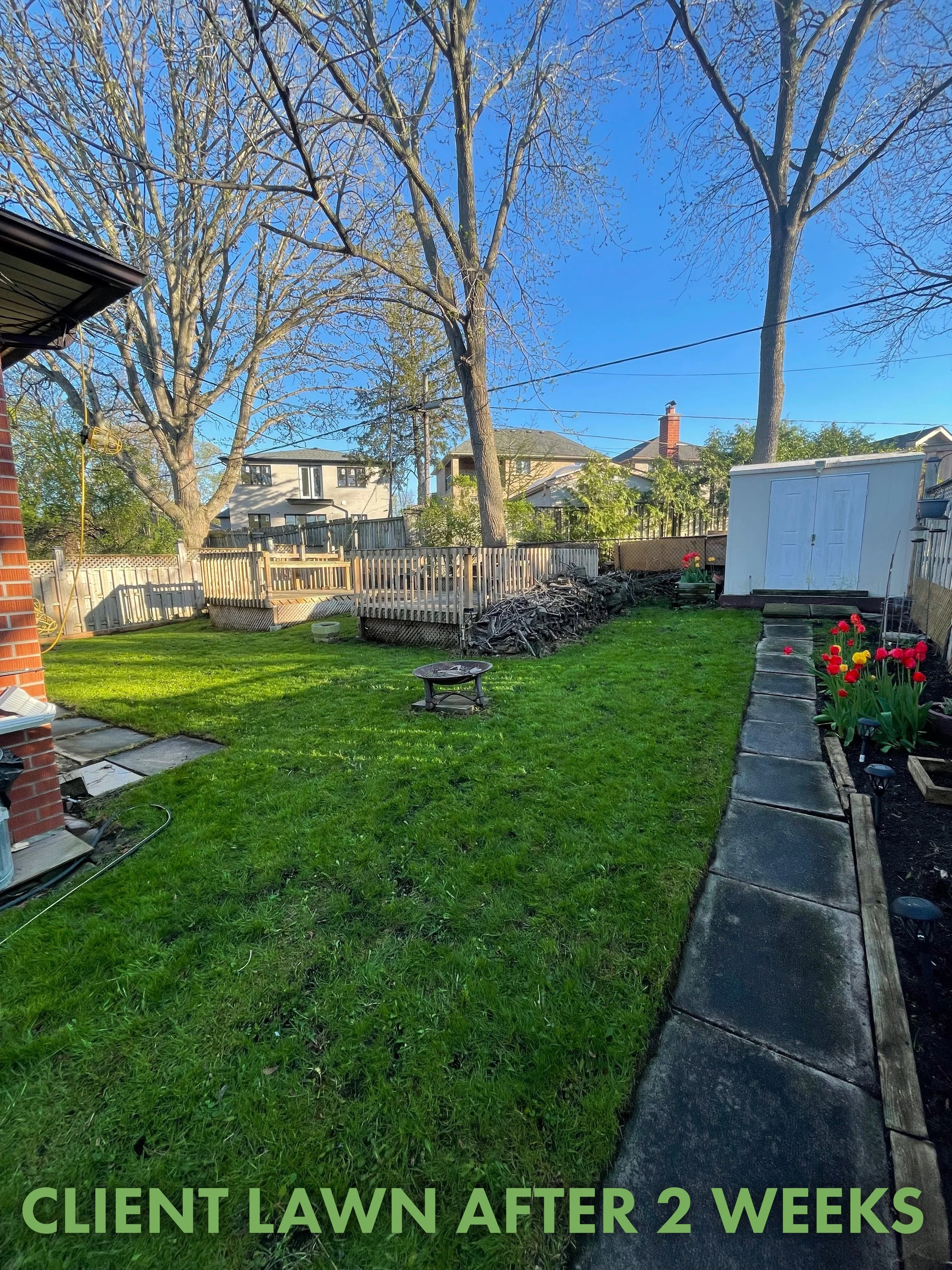 A Greener Lawn with GreenHouse Blog-3.jpeg