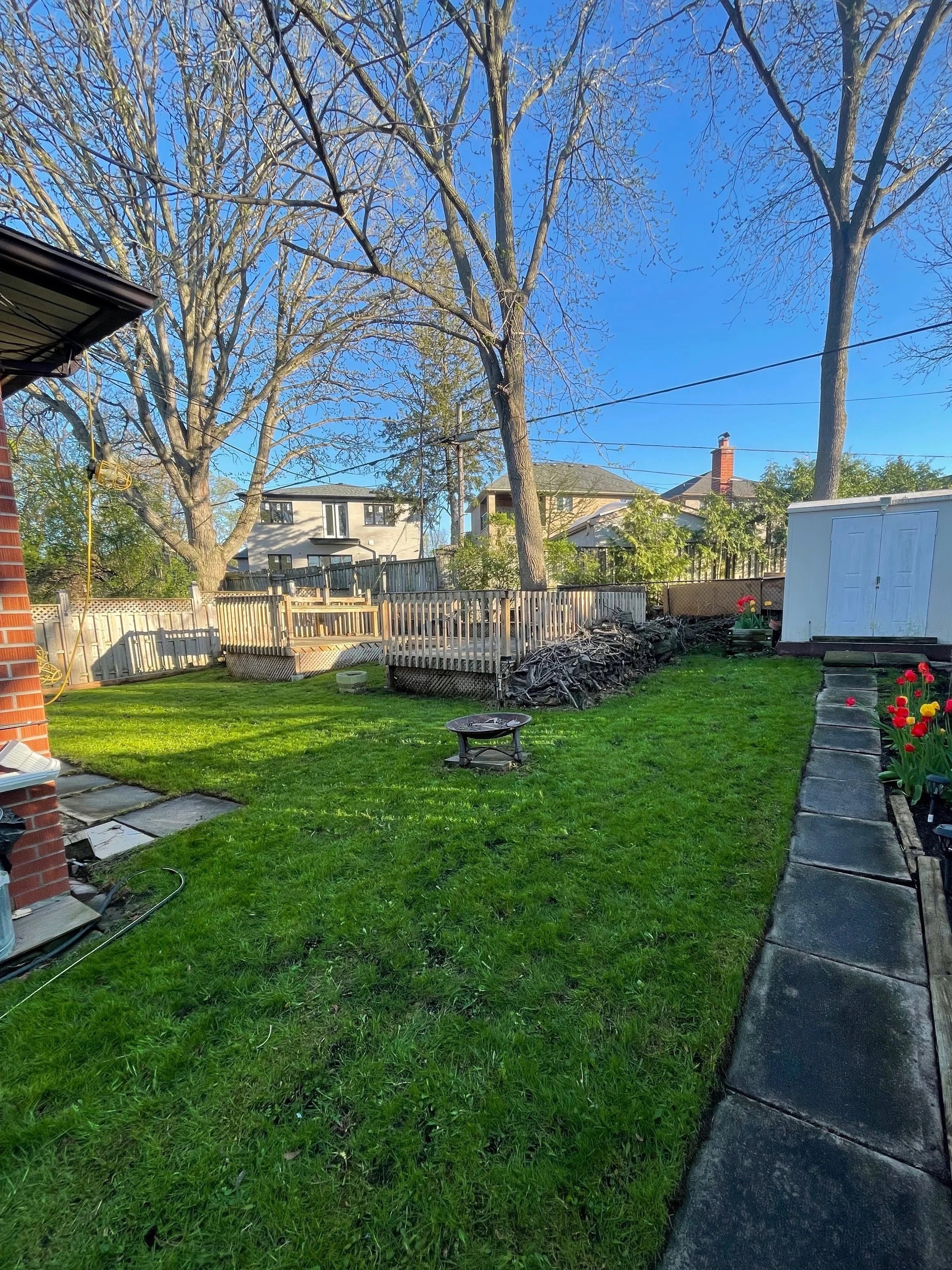 CLIENT'S BACKYARD AFTER