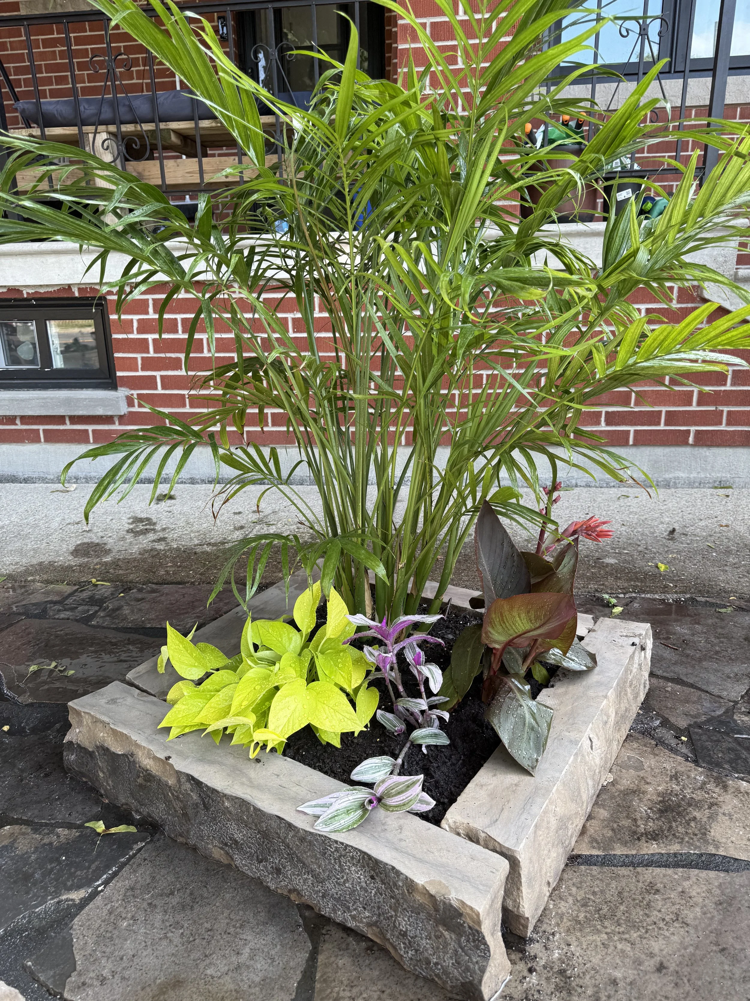 Small Ebel Pearl limestone planter filled with tropical seasonal plants in the front yard of an Etobicoke home.