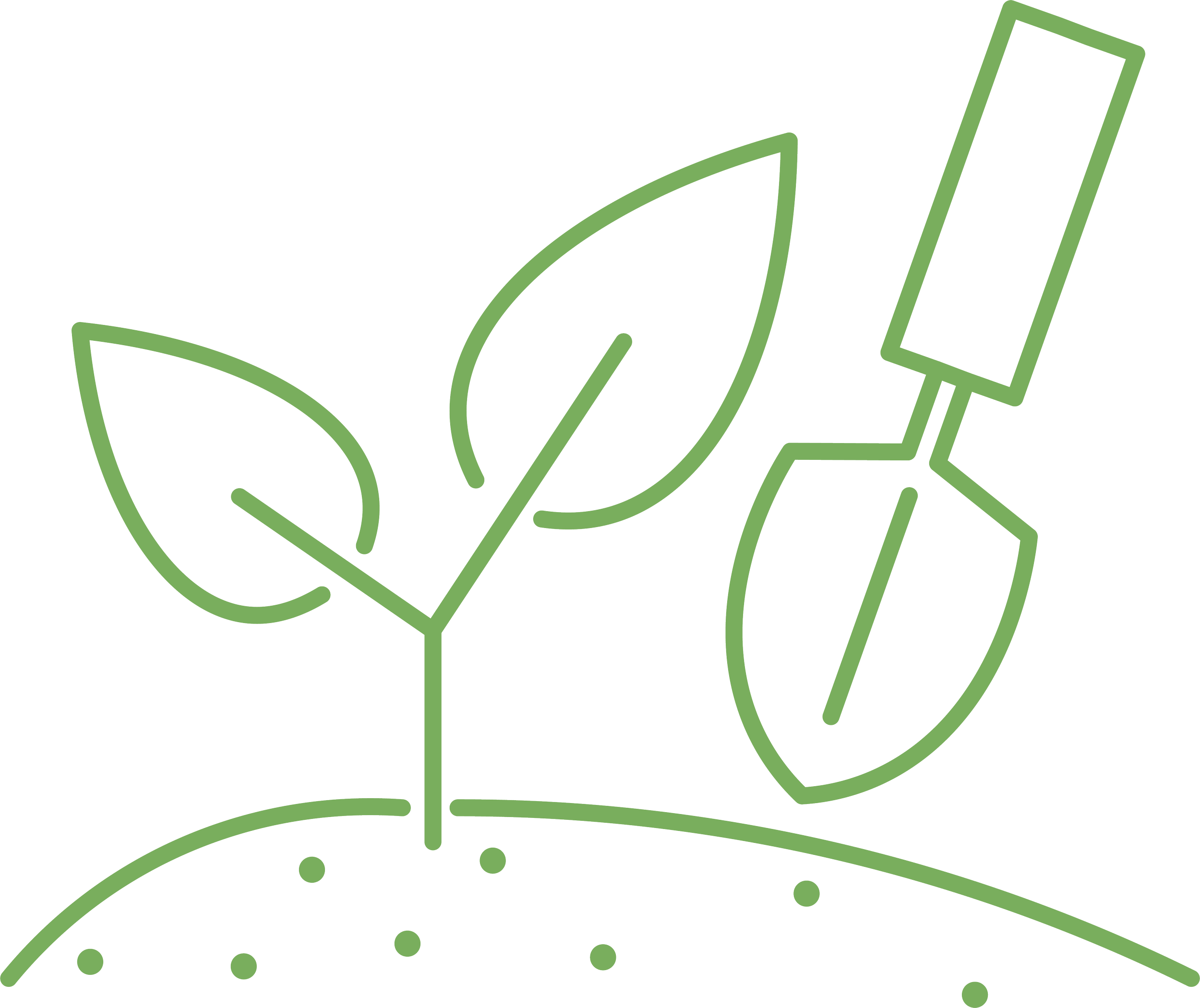 GreenHouse Landscapes Services: Planting & Softscaping