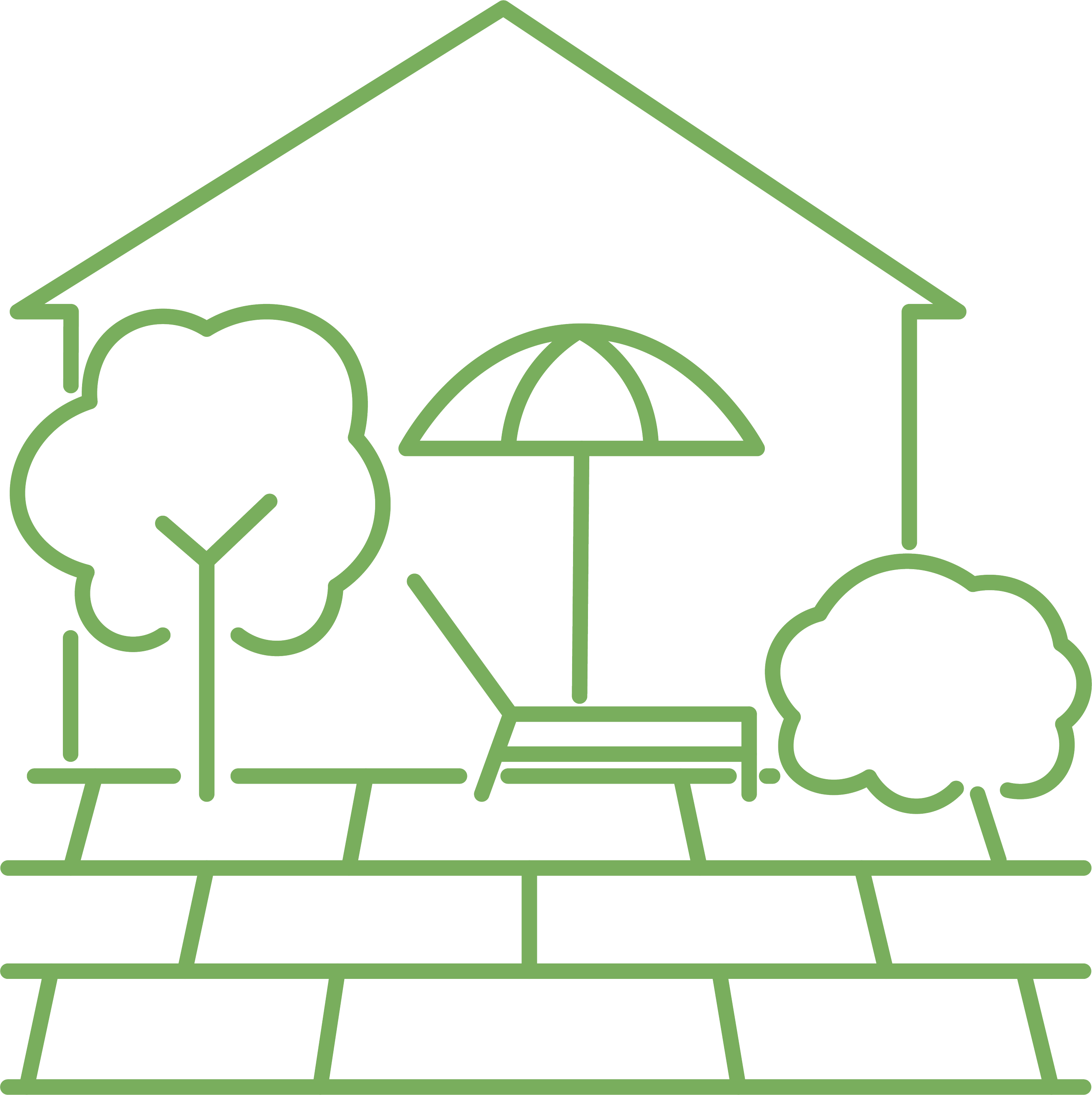 GreenHouse Landscapes Services: Backyard Renovations