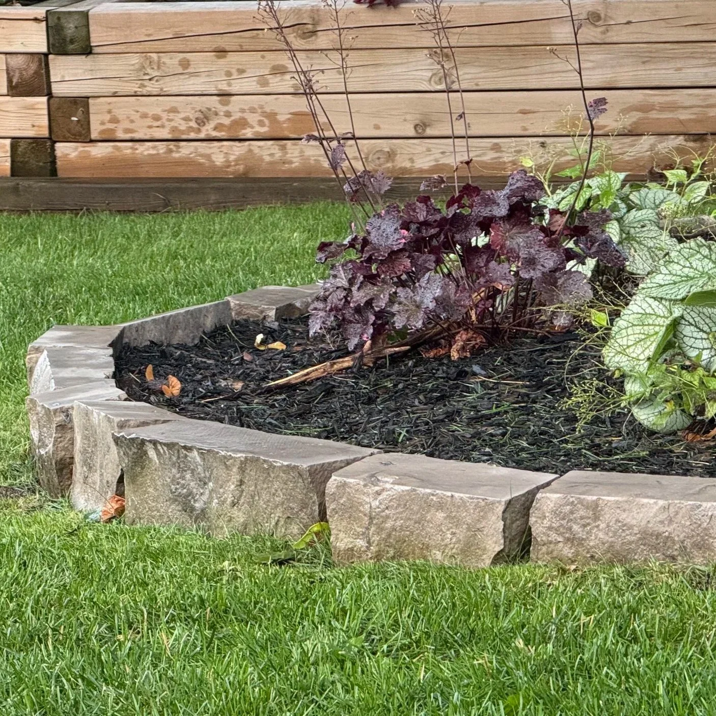 Ebel Pearl limestone tree edging with planted garden beds in the centre at a front yard in Etobicoke.