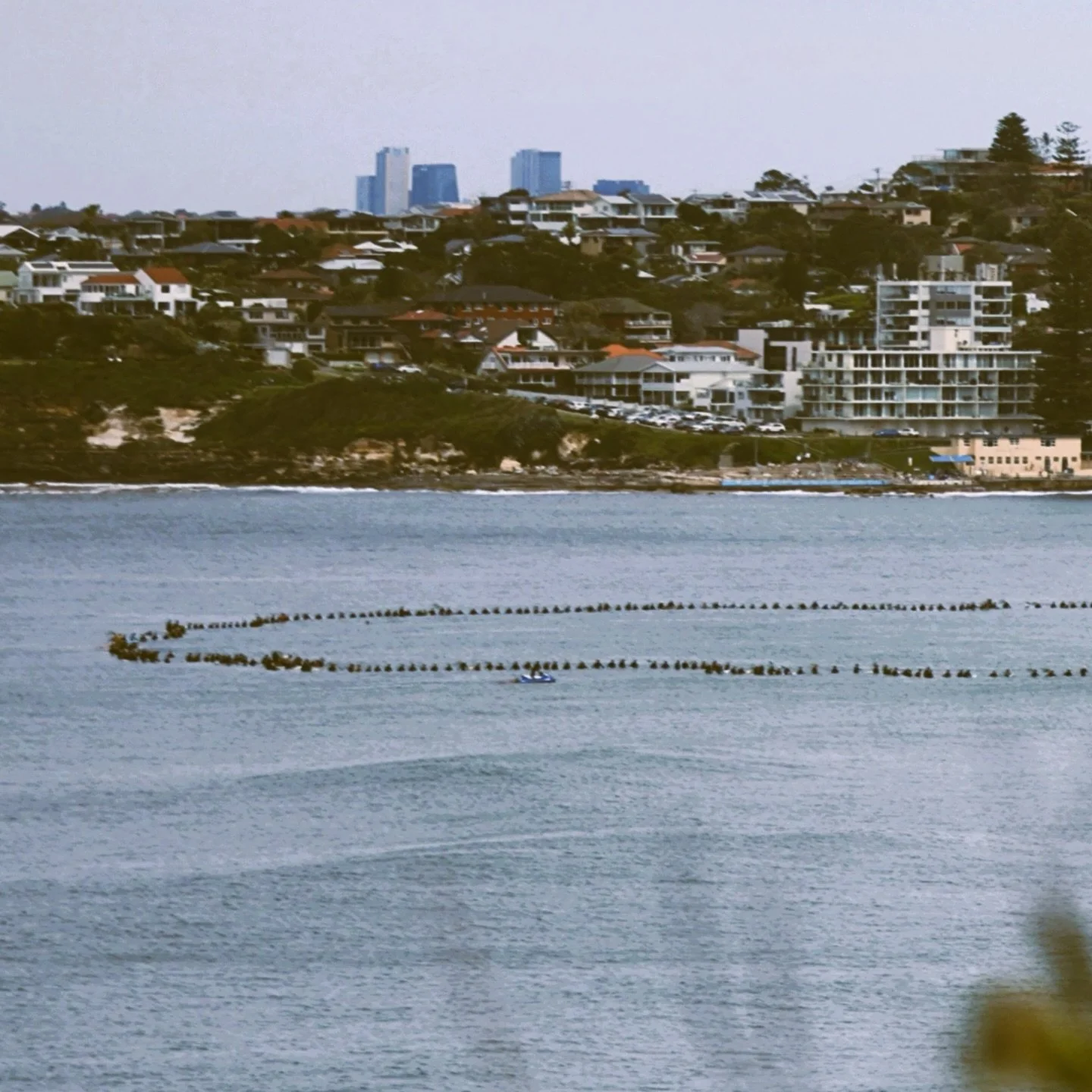 Paddle out for Merc 💙 27th September 2025