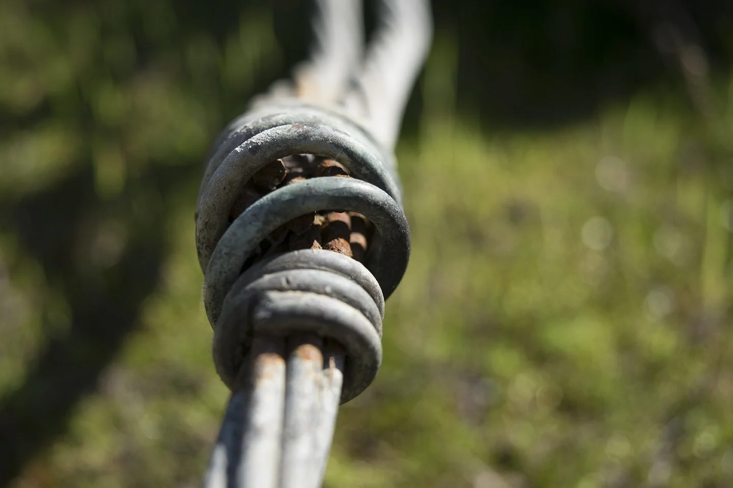 Shallow DOF 3.jpg