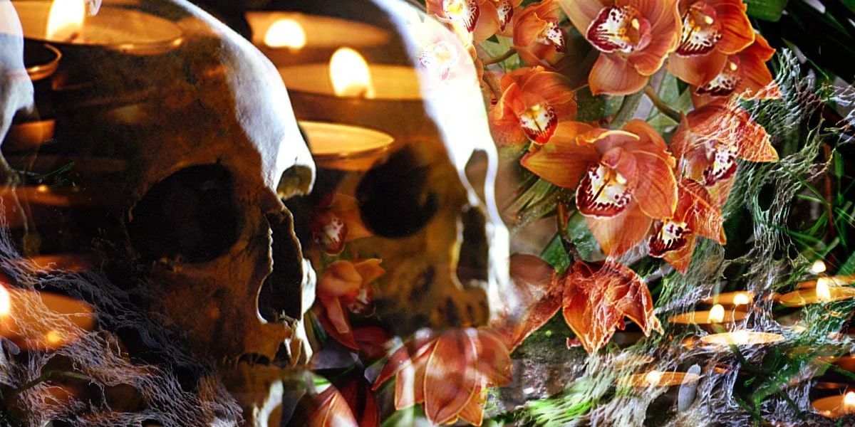 Halloween banner for personal online shop
(Photoshop collage w/ personal photography)